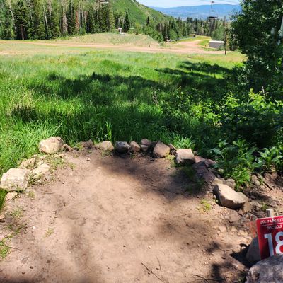 Hole 18 Gold Tee