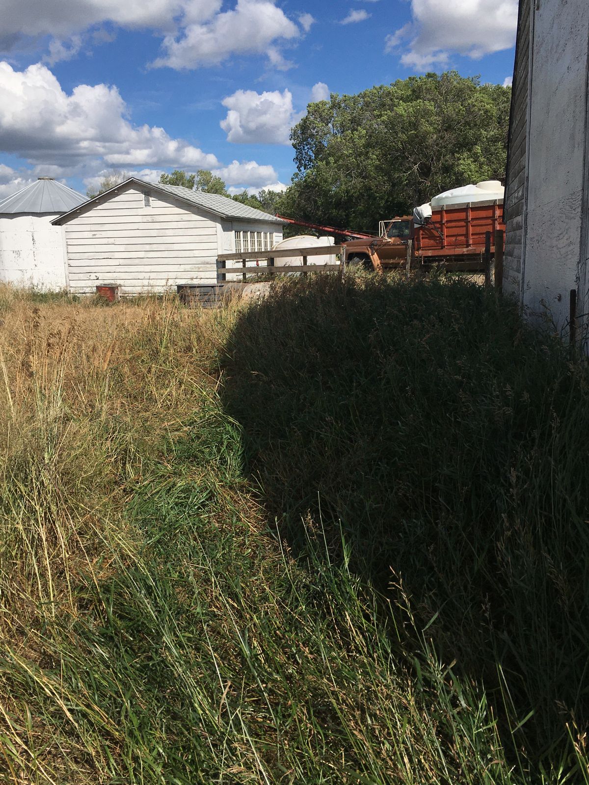 Left side of the white door is the tee box. Basket object is the steel water trough. *inside*