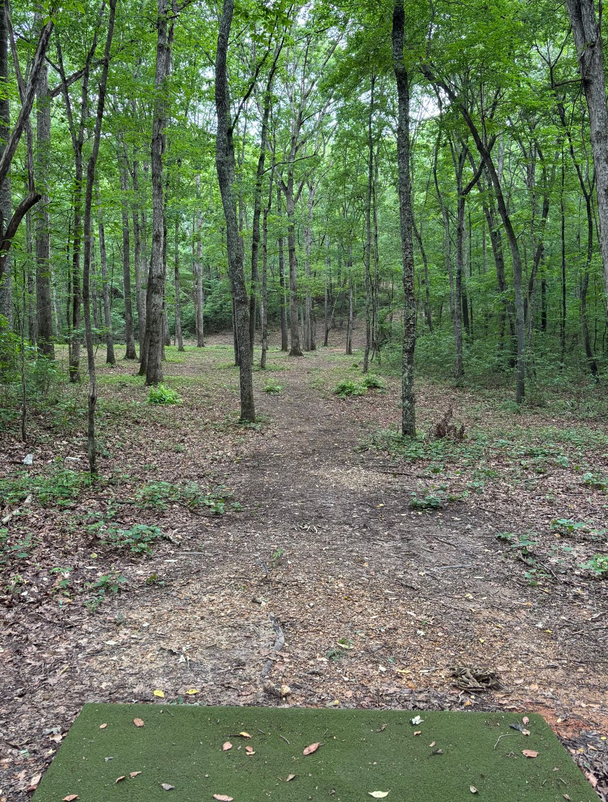 Hole #5 Tee