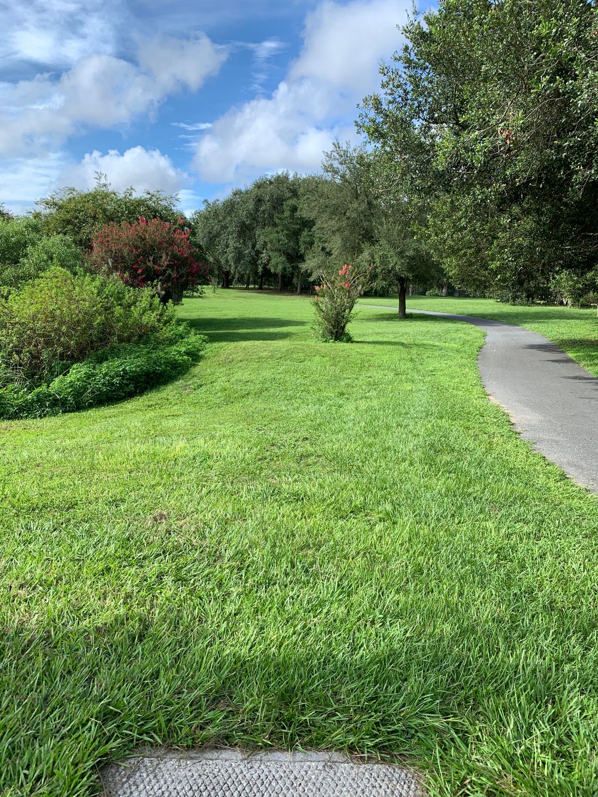 Hole 6