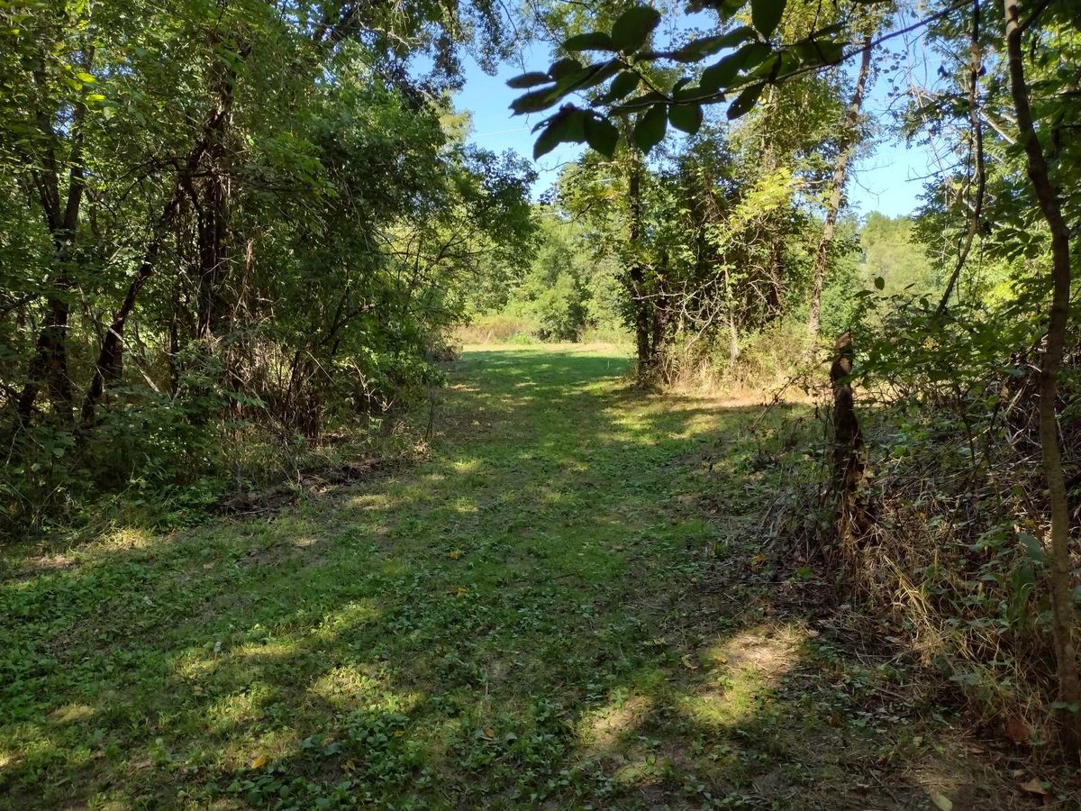 Looking out from hole #15