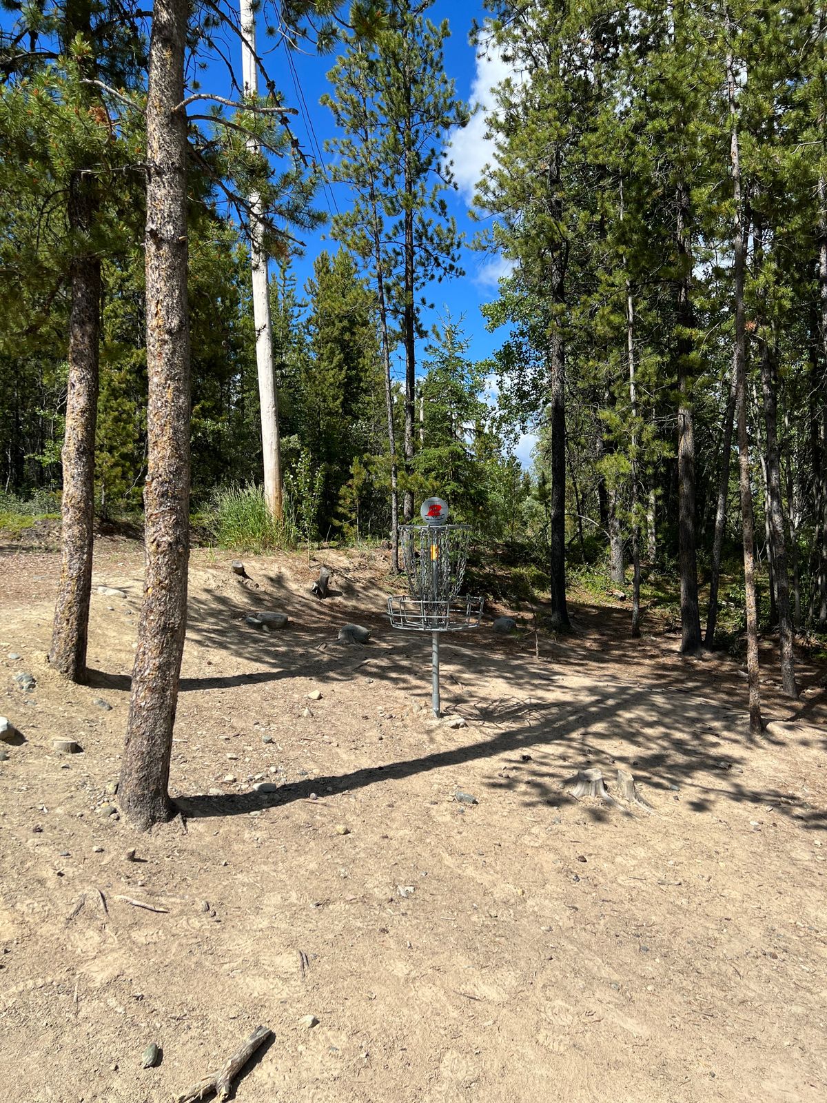 Hole 2 basket