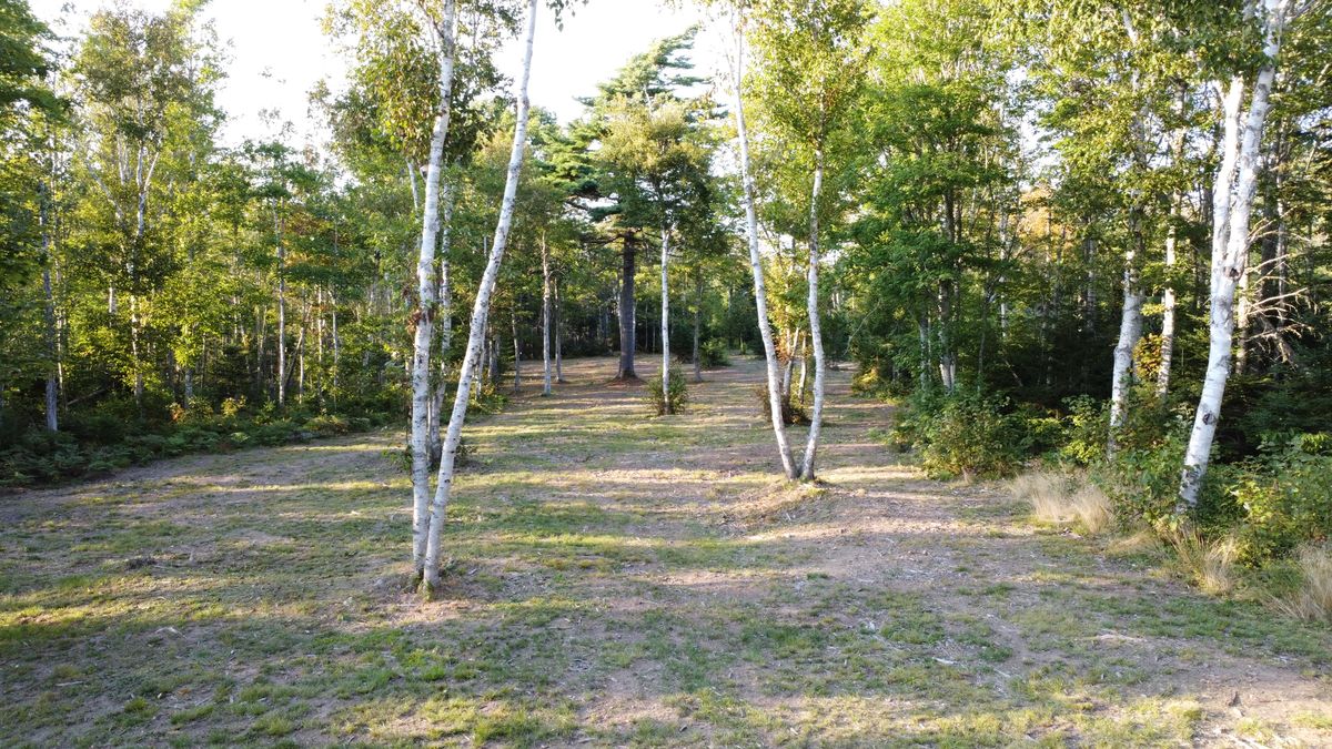 Hole 5 - fairway.