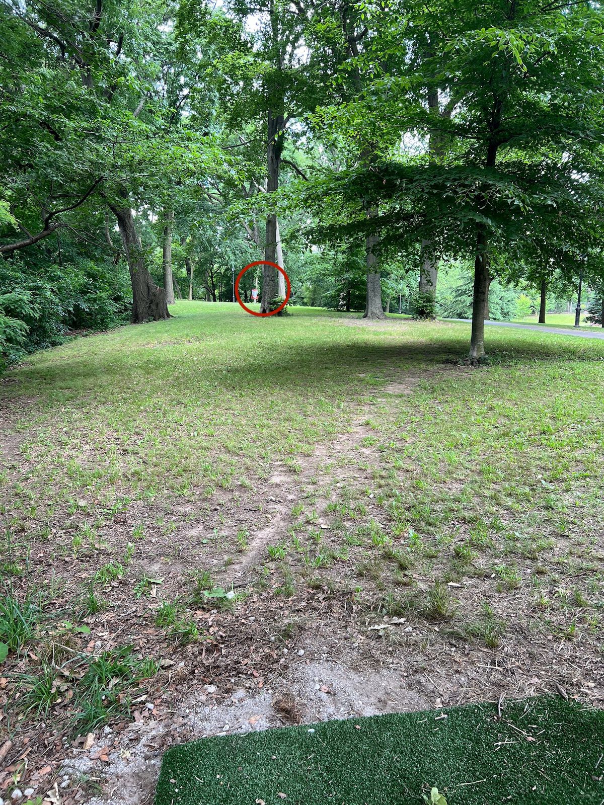 Hole 6