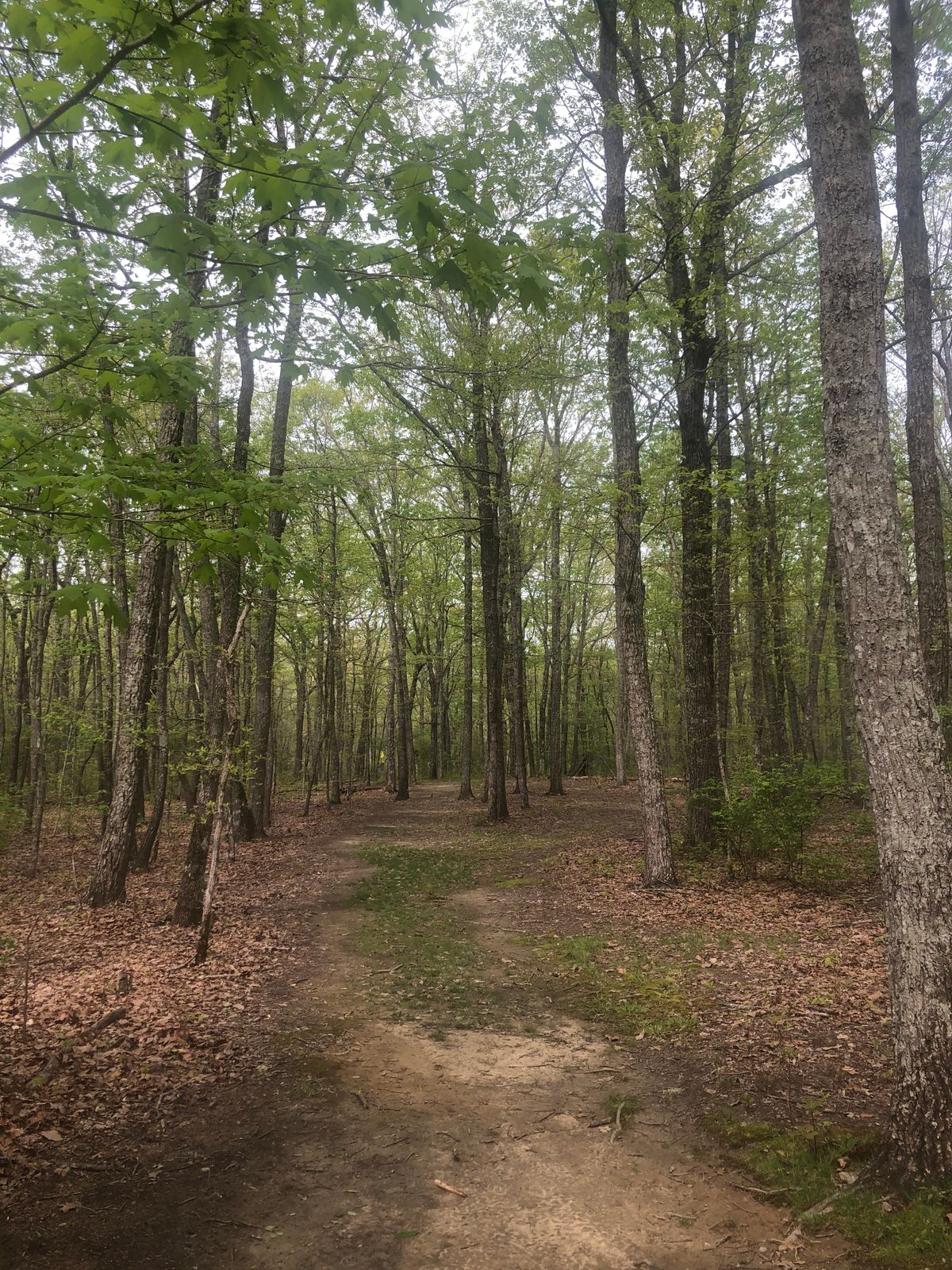 Hole 11