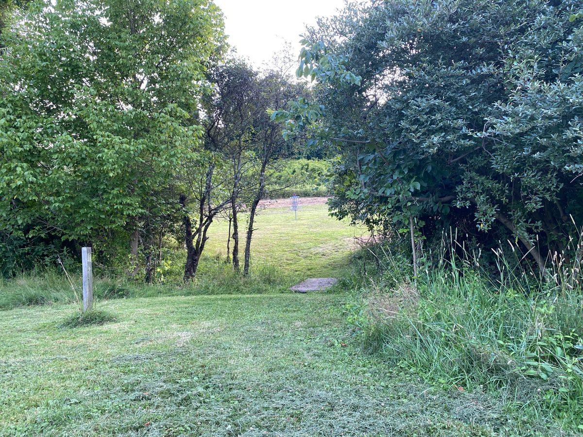 Hole 7 green