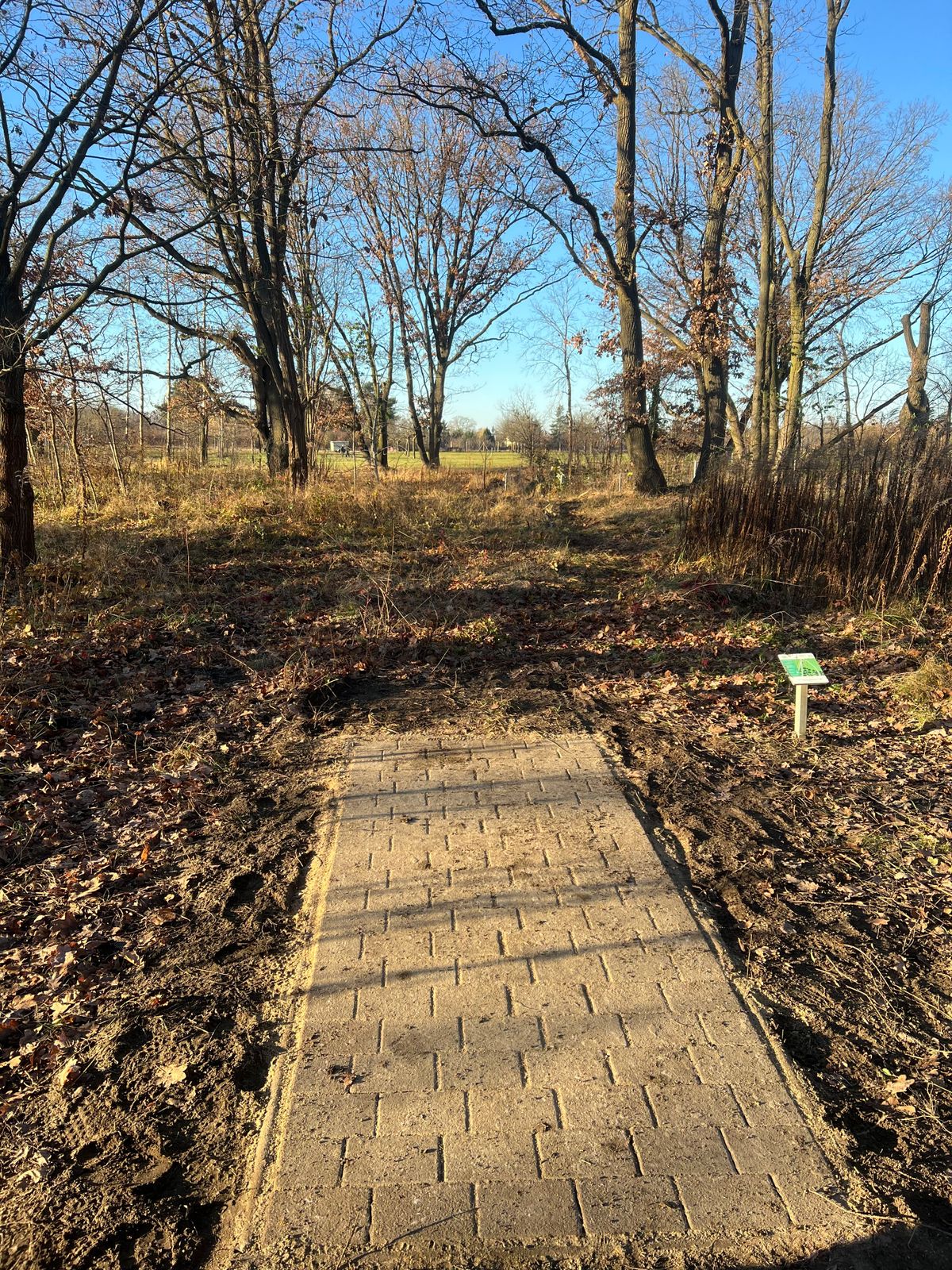 New Tee Hole 10