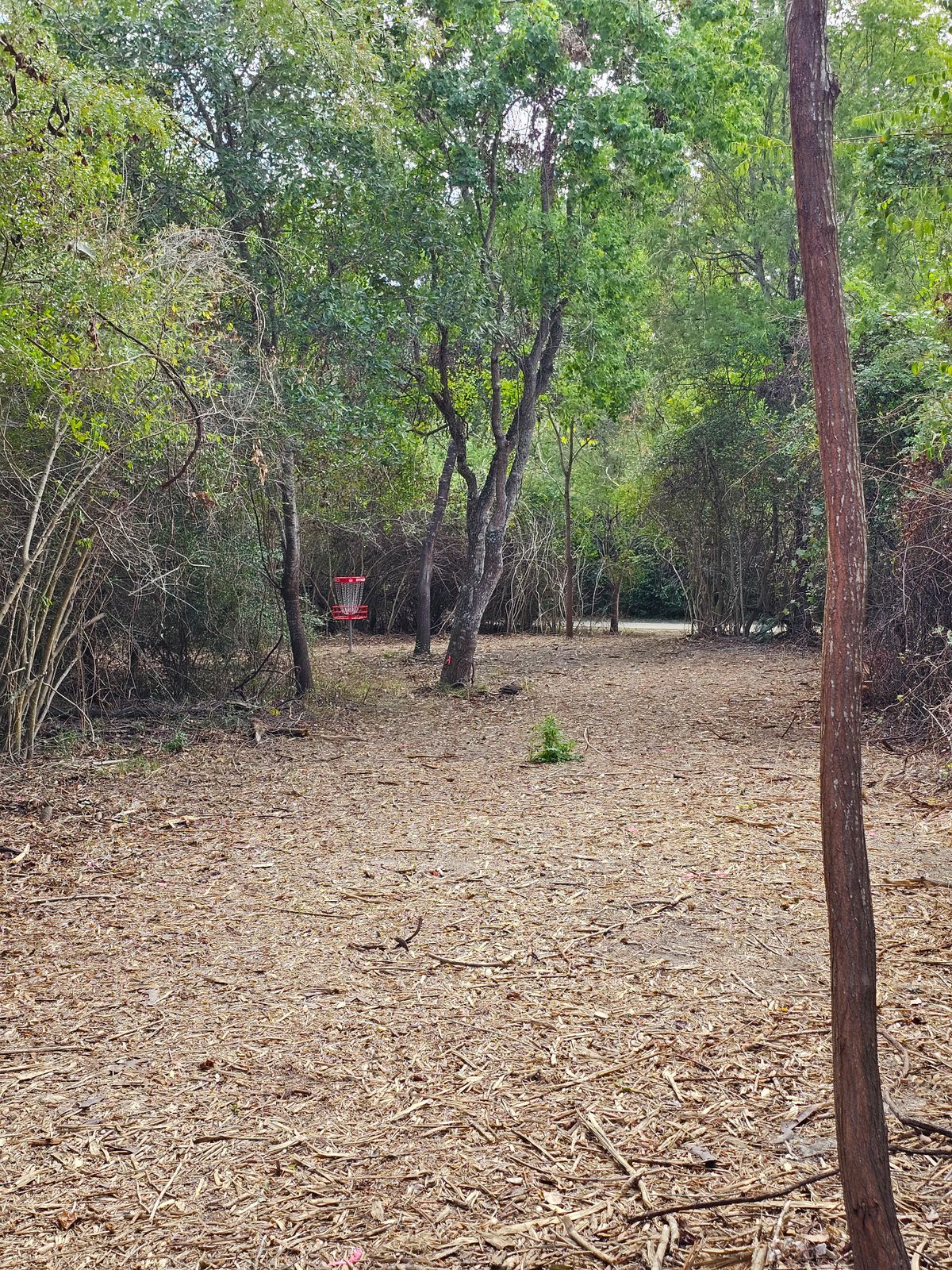 Hole 1 Approach