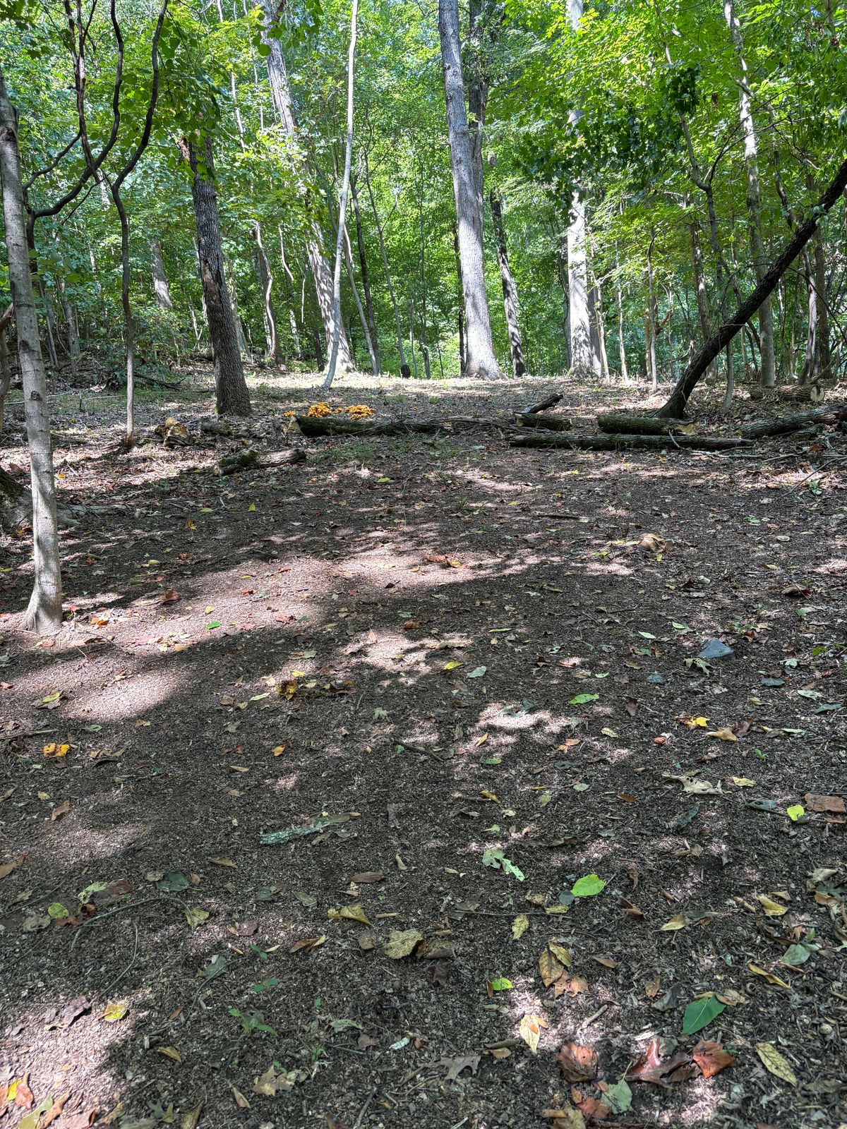 Hole 2 fairway