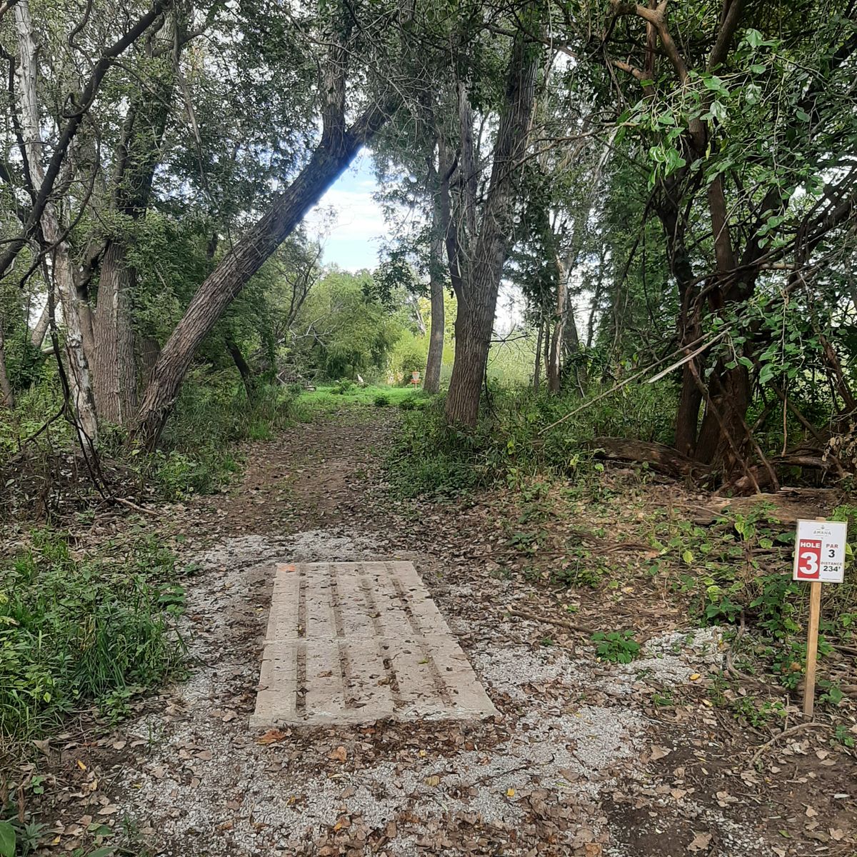 Hole 3 Pad