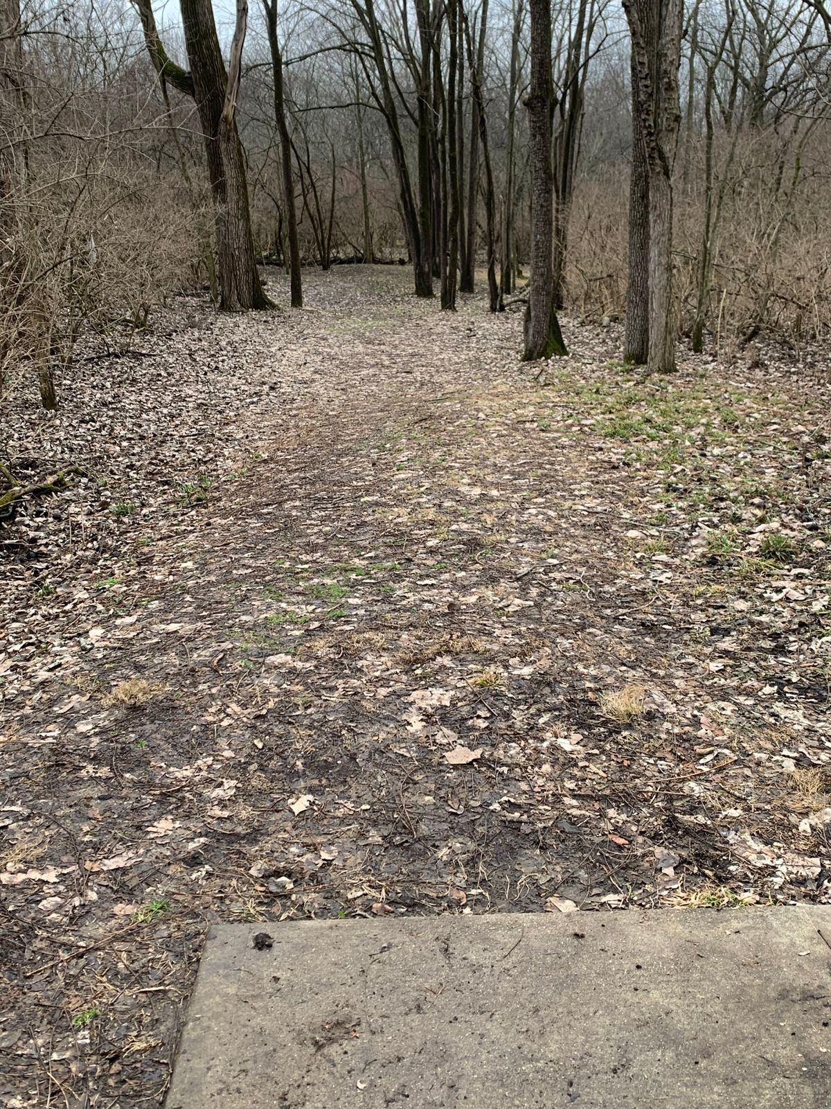 Hardest hole.  Go straight to the end of the strip. Then right towards the pin.