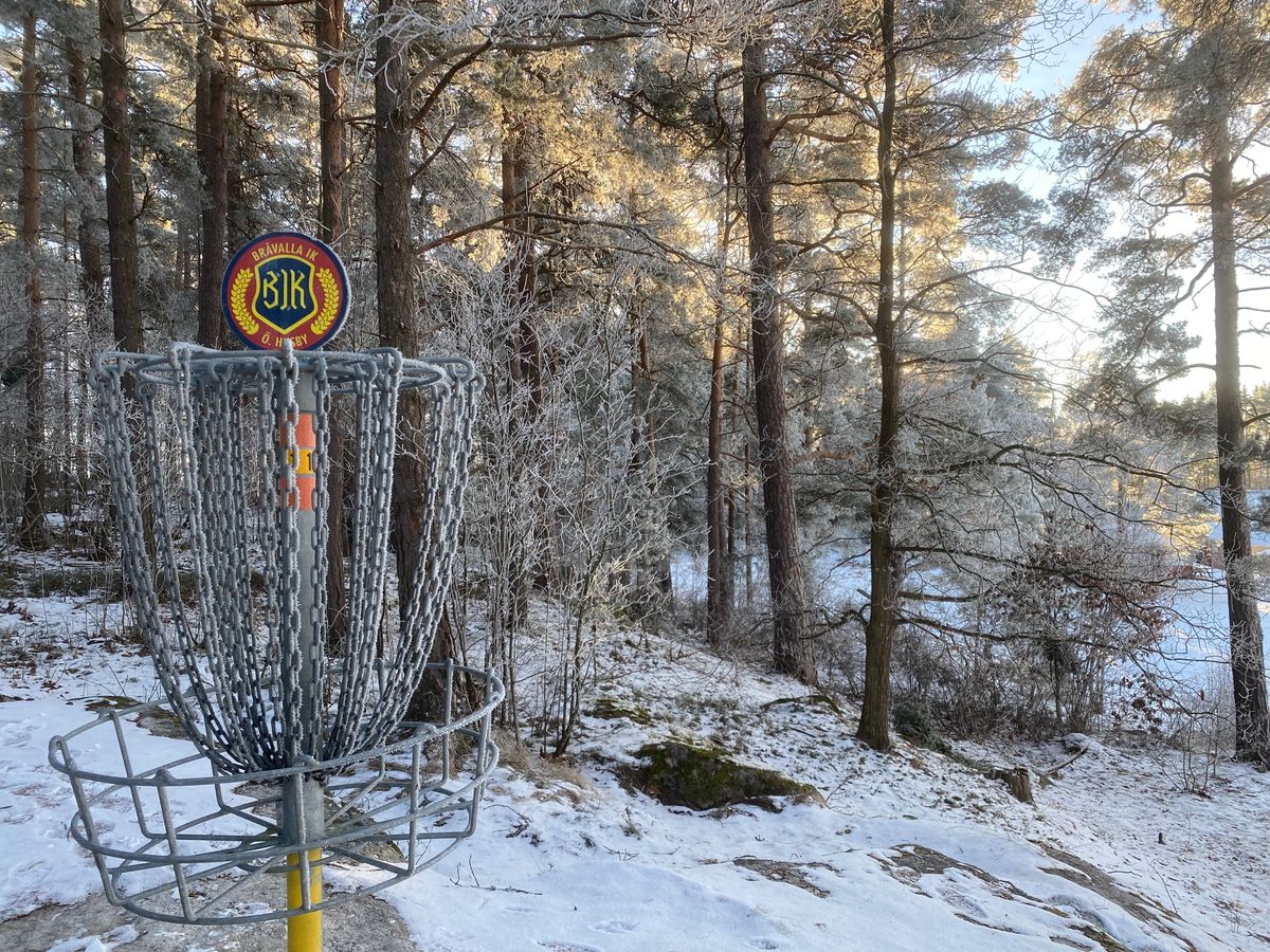 Hole #11/17