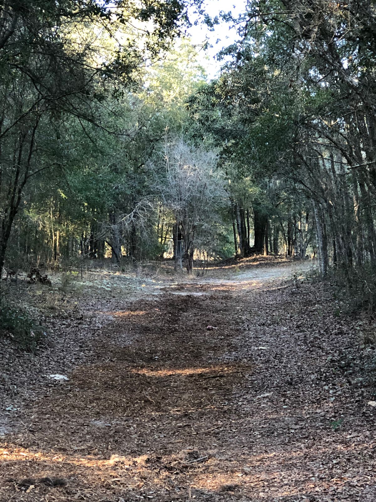 Hole two 188’