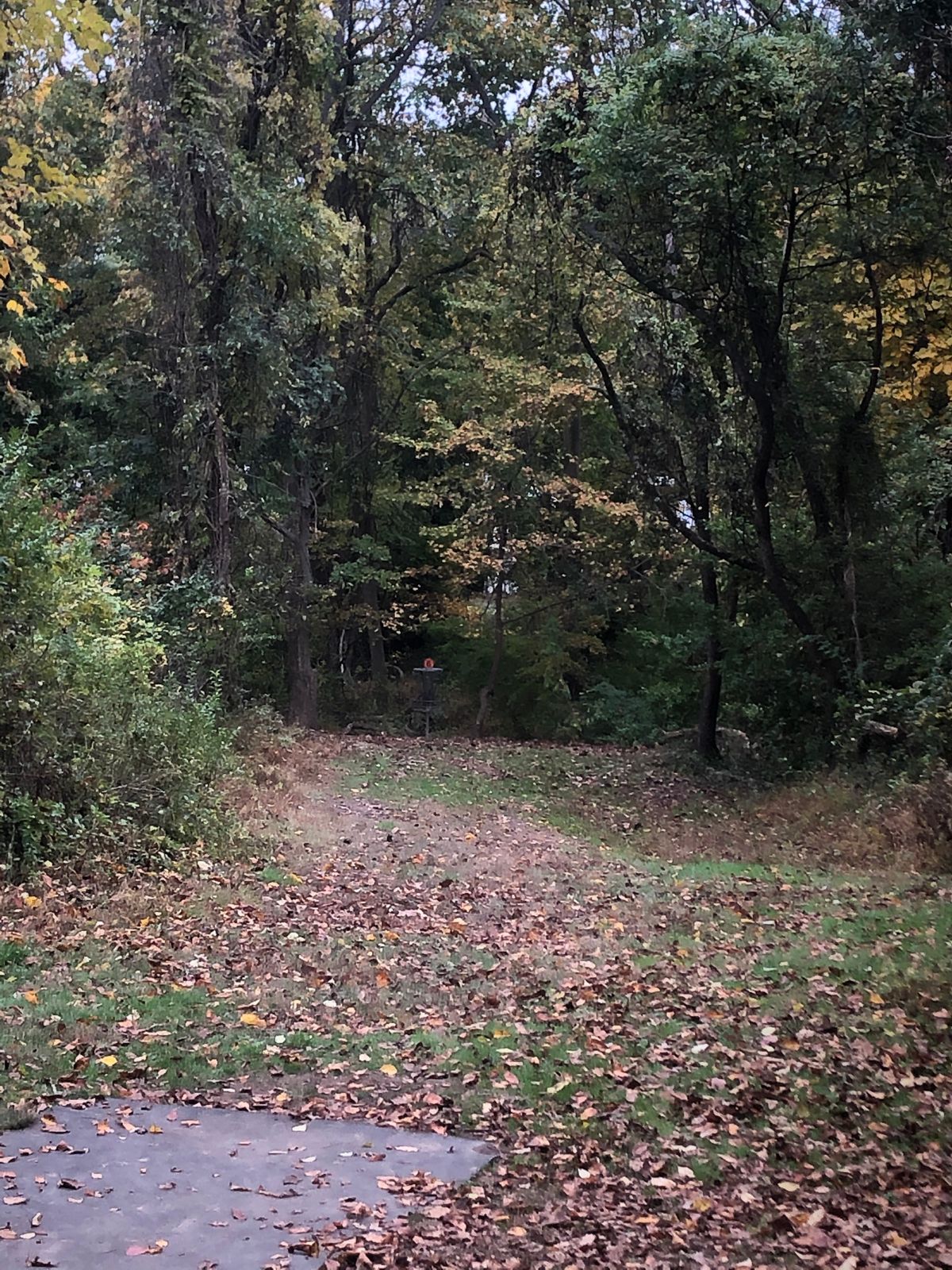 Great ace hole