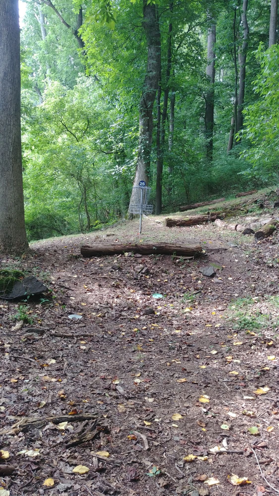 new hole 26 long basket