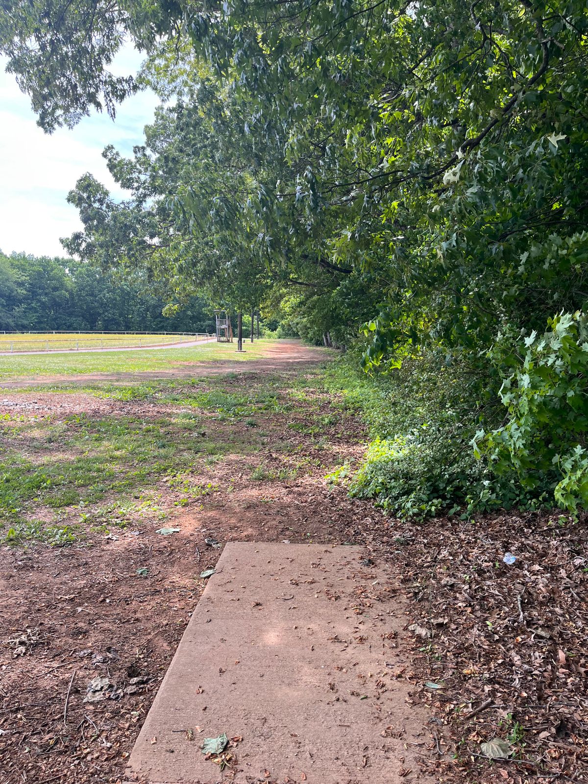 Hole-6 331’