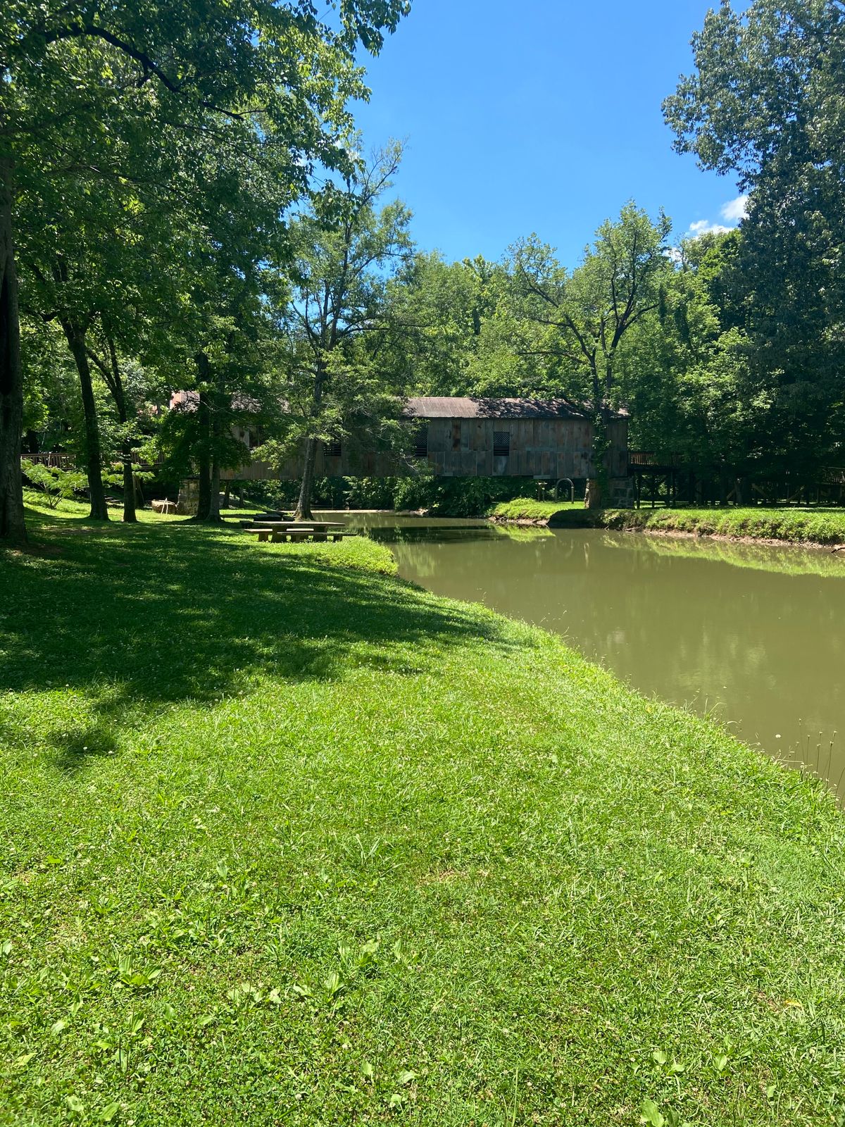 View from 18 basket