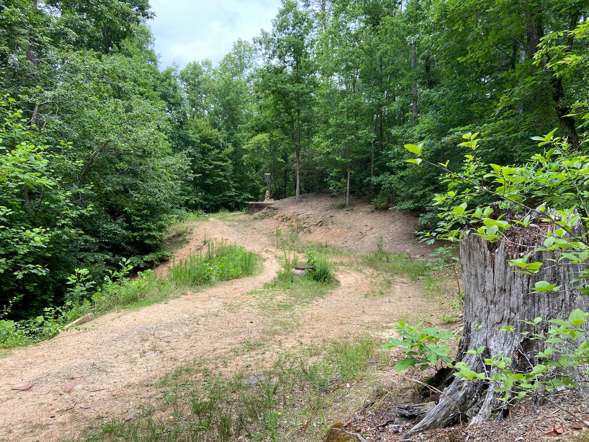 Hole 9, elevated basket