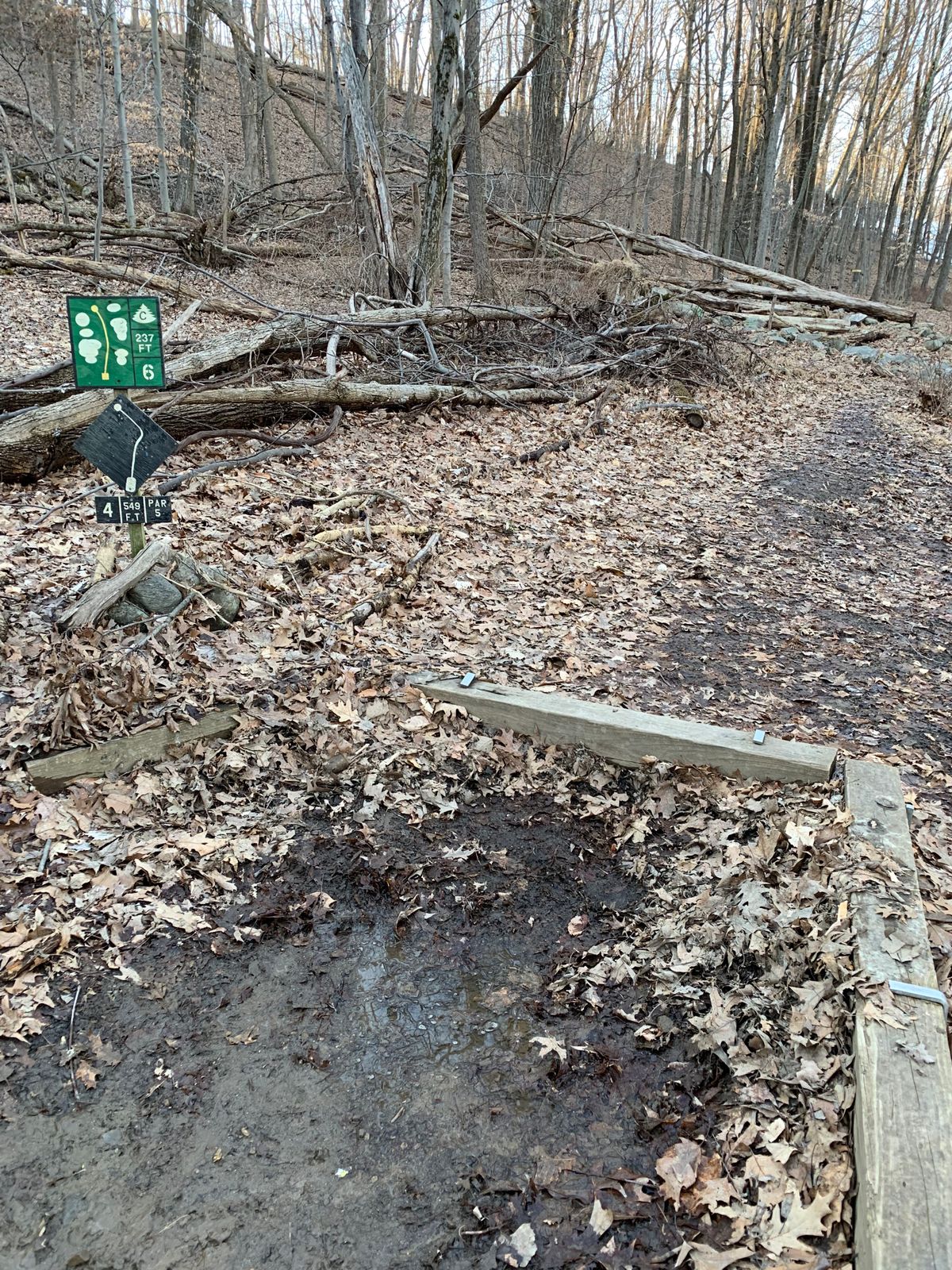 Hole 6 Green / Hole 4 Black (Mighty Gaw)