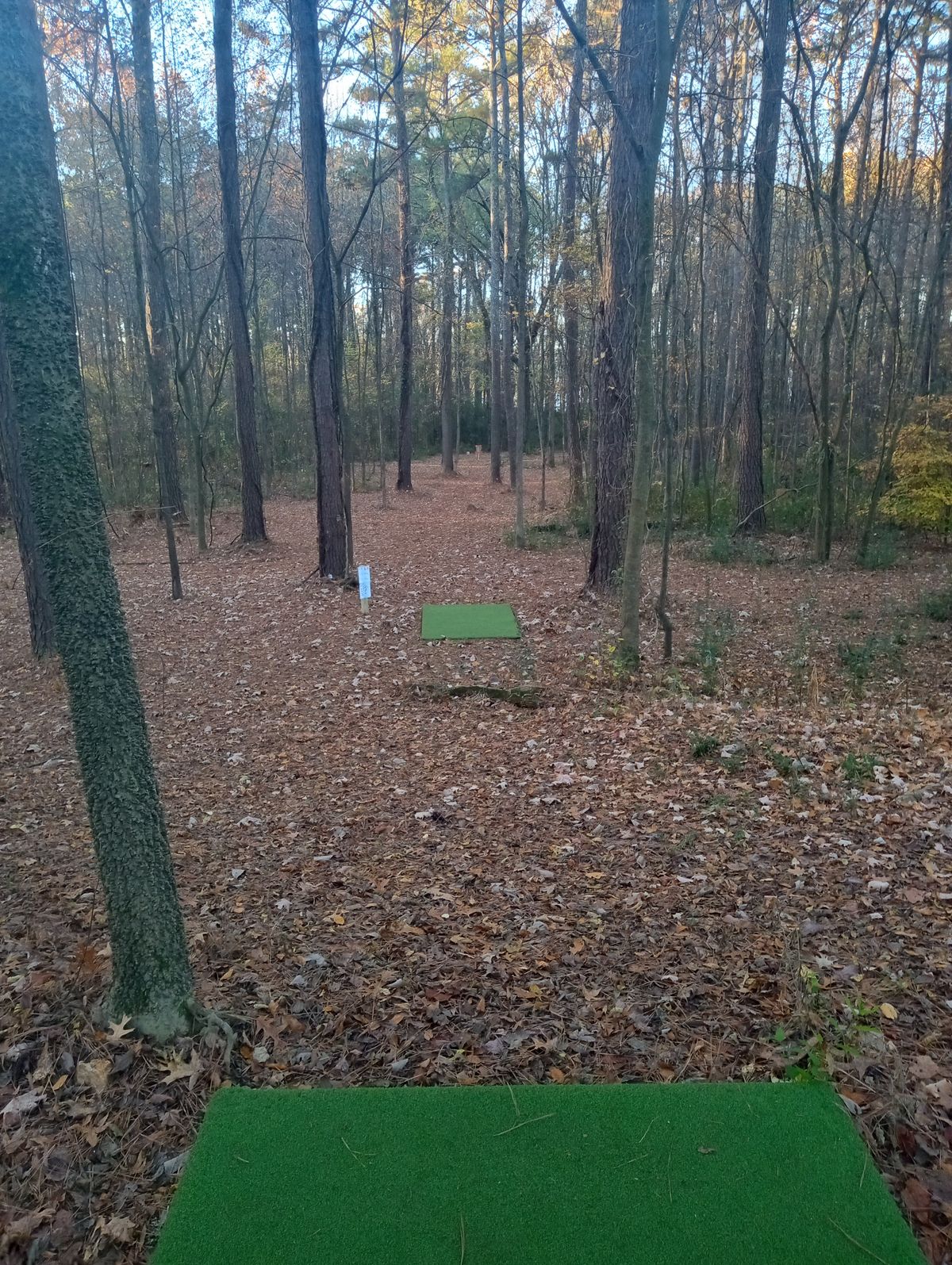 Hole #1 long pad