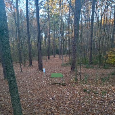 Hole #1 long pad