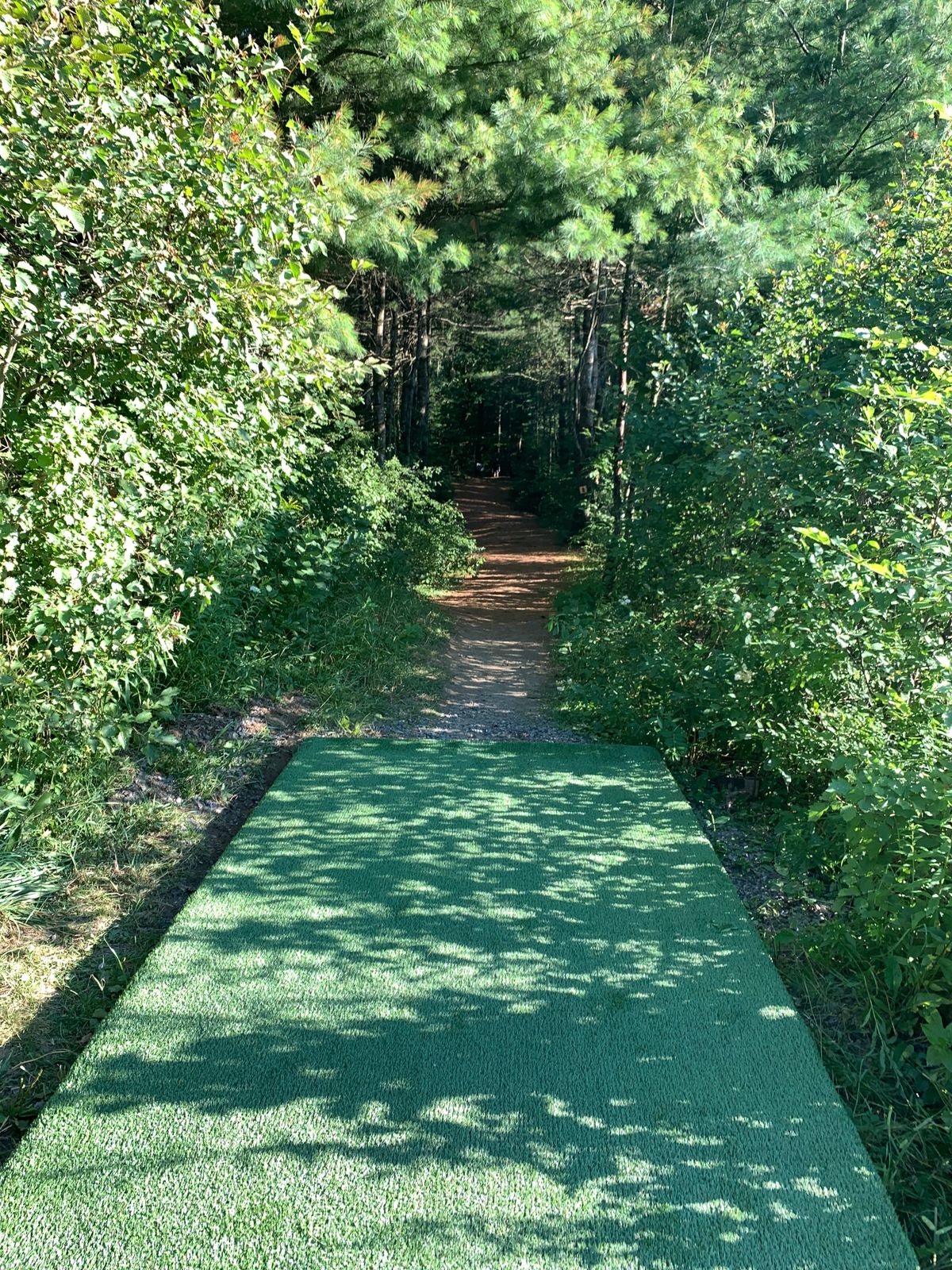 The view from #3.