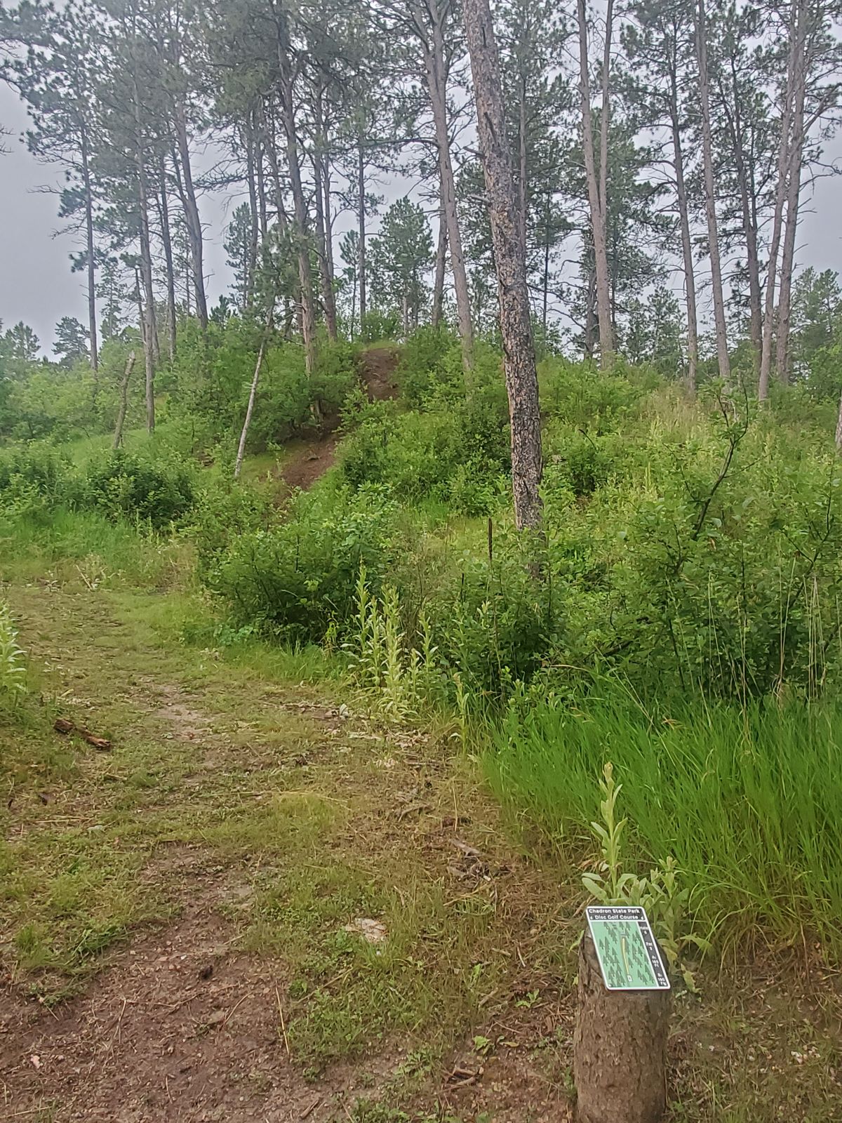 Hole 6