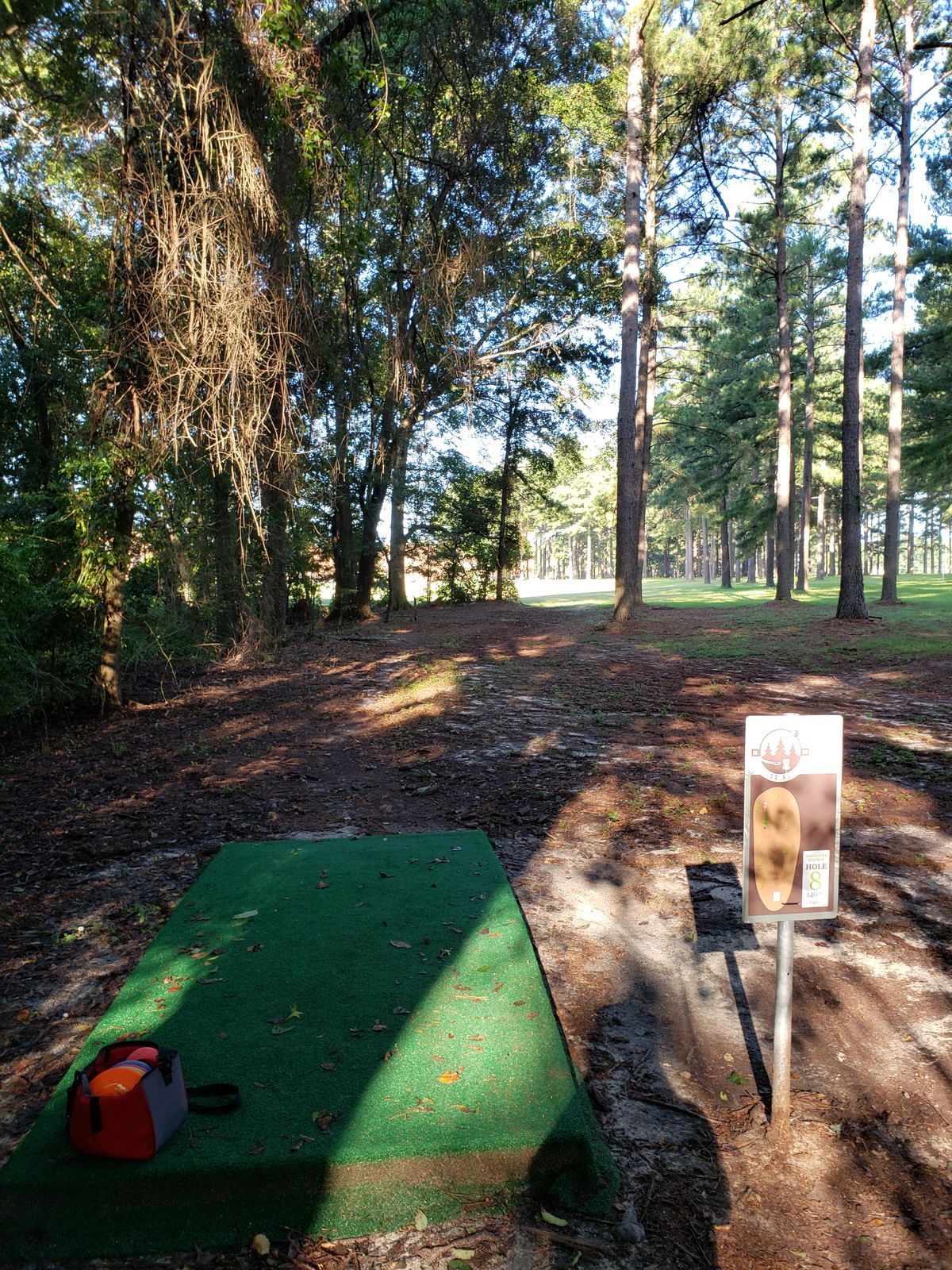 #8 Tee-Pad and Fairway