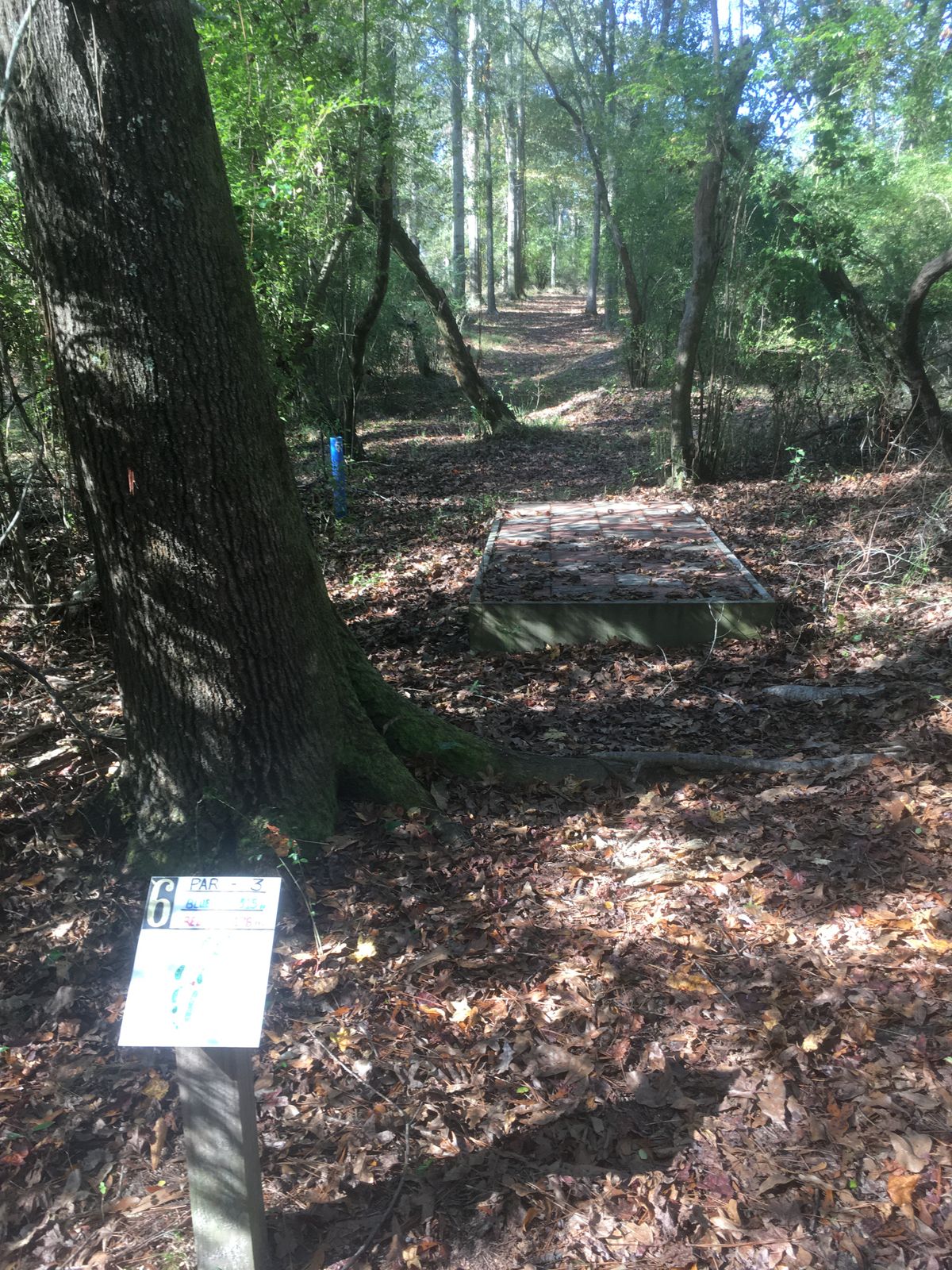 Hole 6 Tee