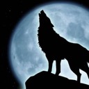 wolfpaw