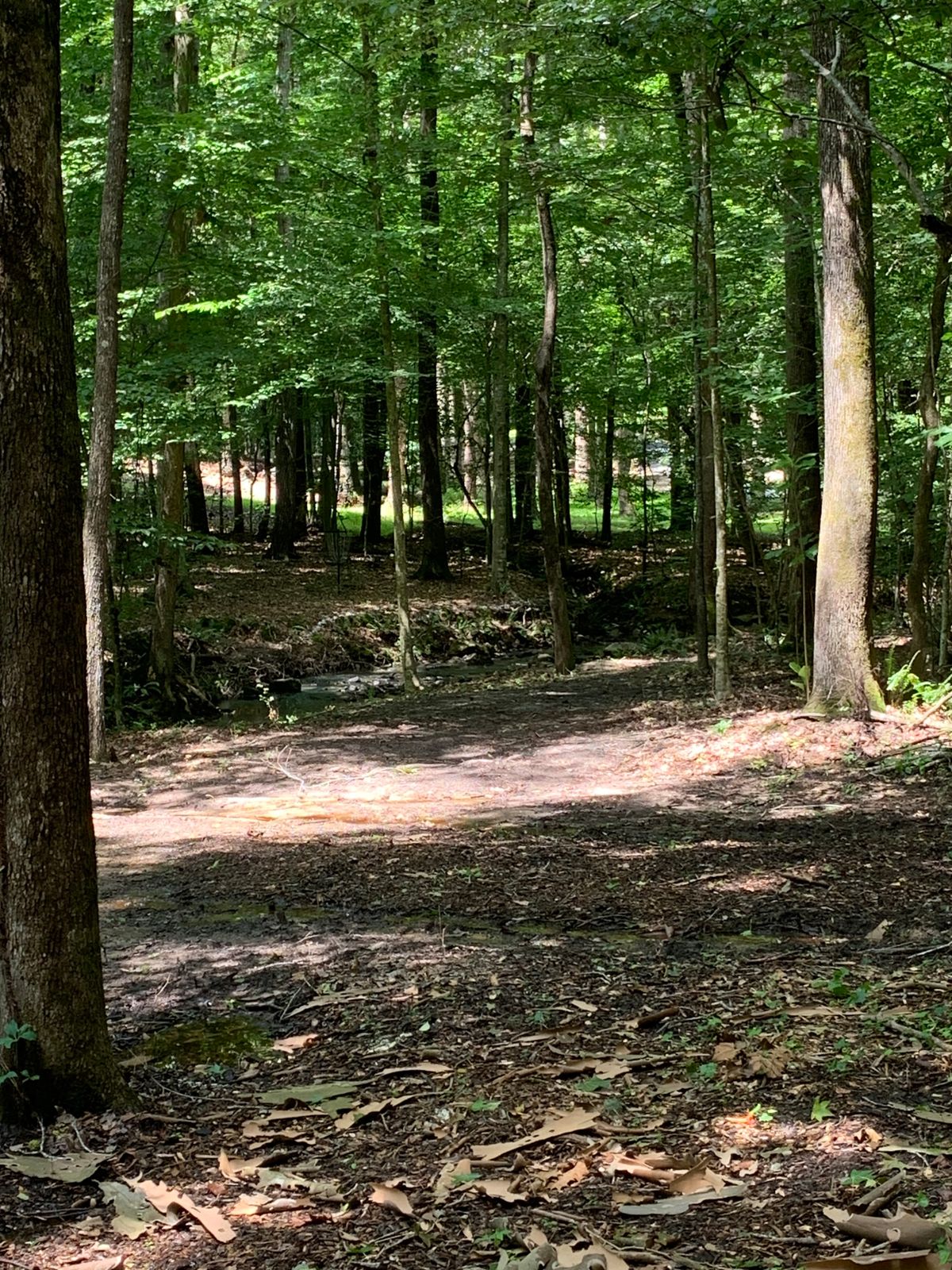 Hole 6 Landing Zone. 