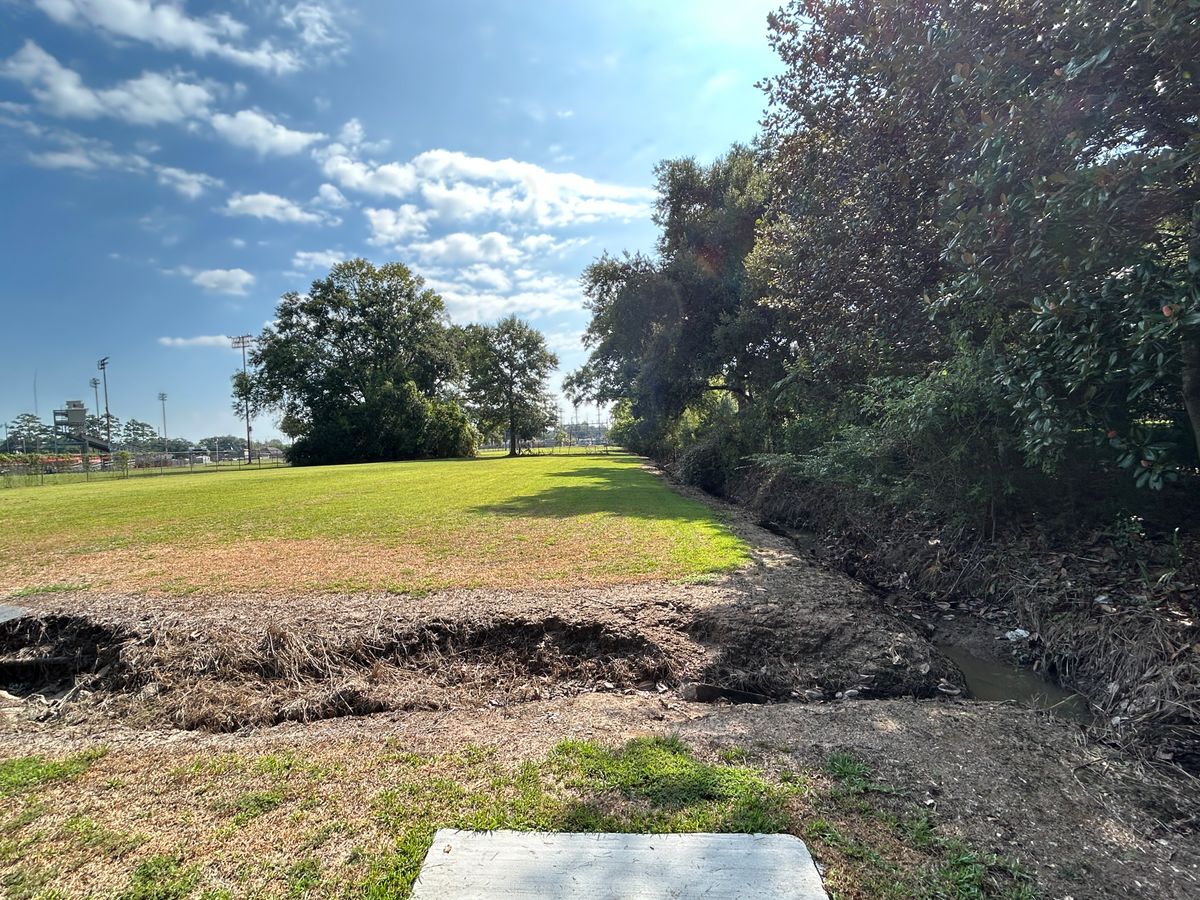 Hole 5 Fairway