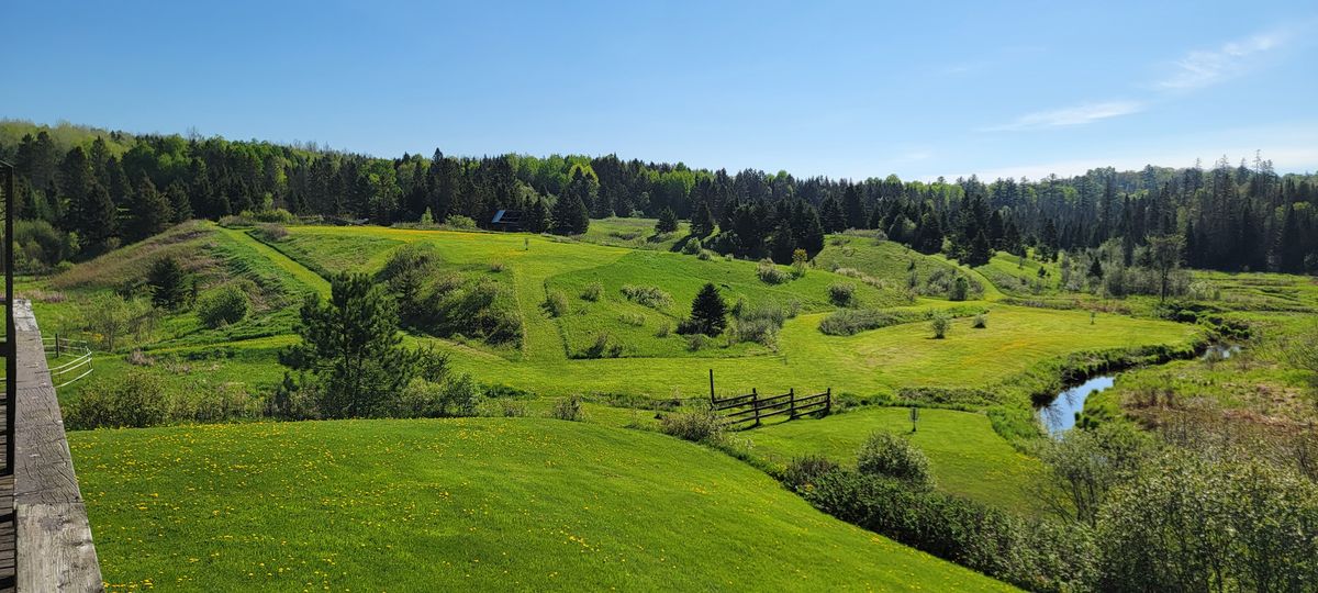 Unreal layout near a creek and rolling hills
