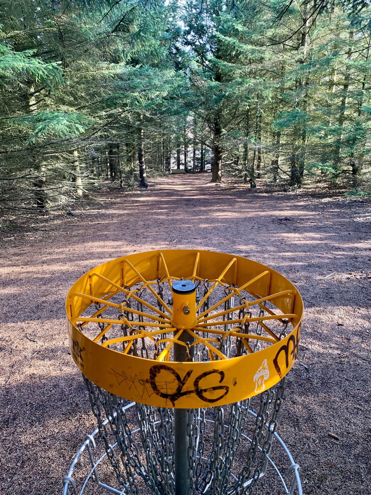 Fairway hole 8