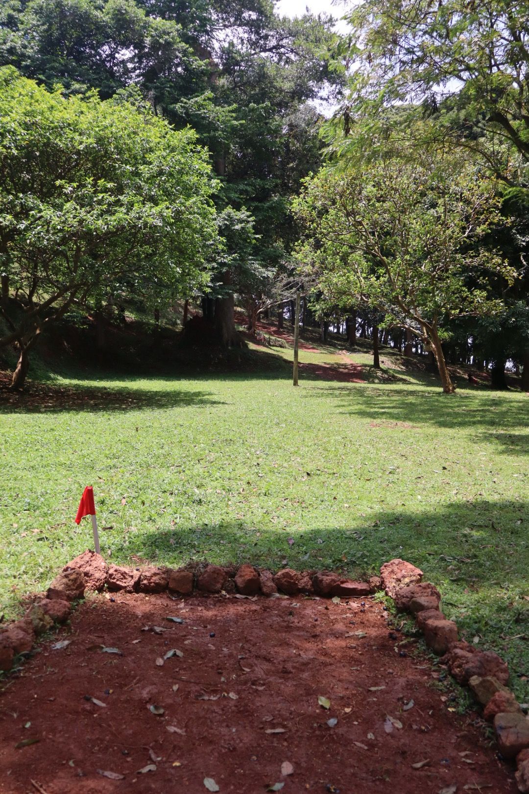 Hole 5 short tee