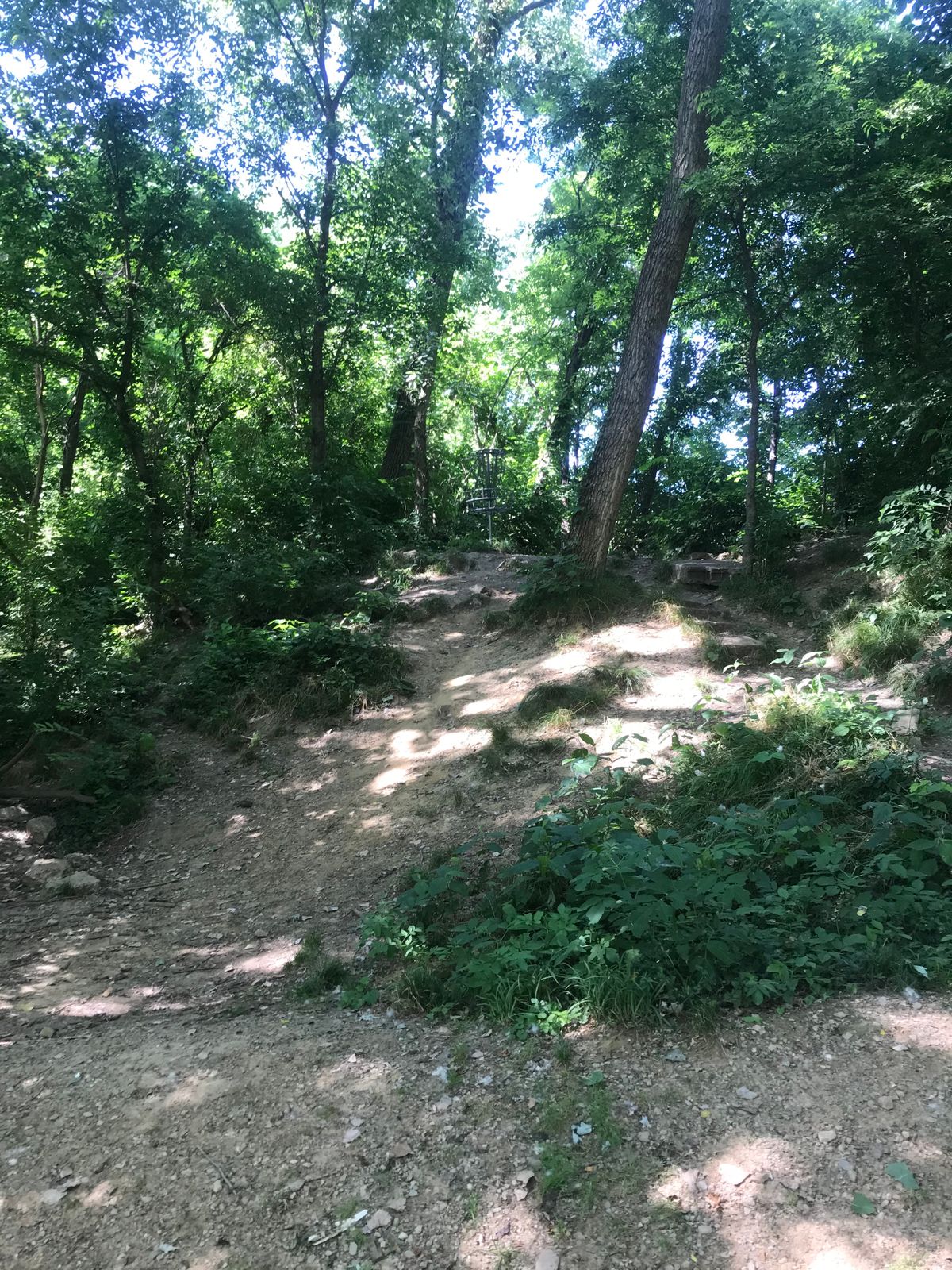 Hole 4 basket