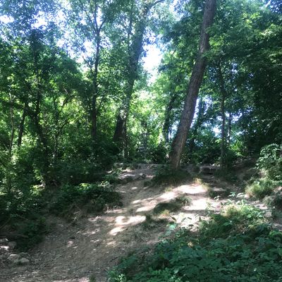 Hole 4 basket