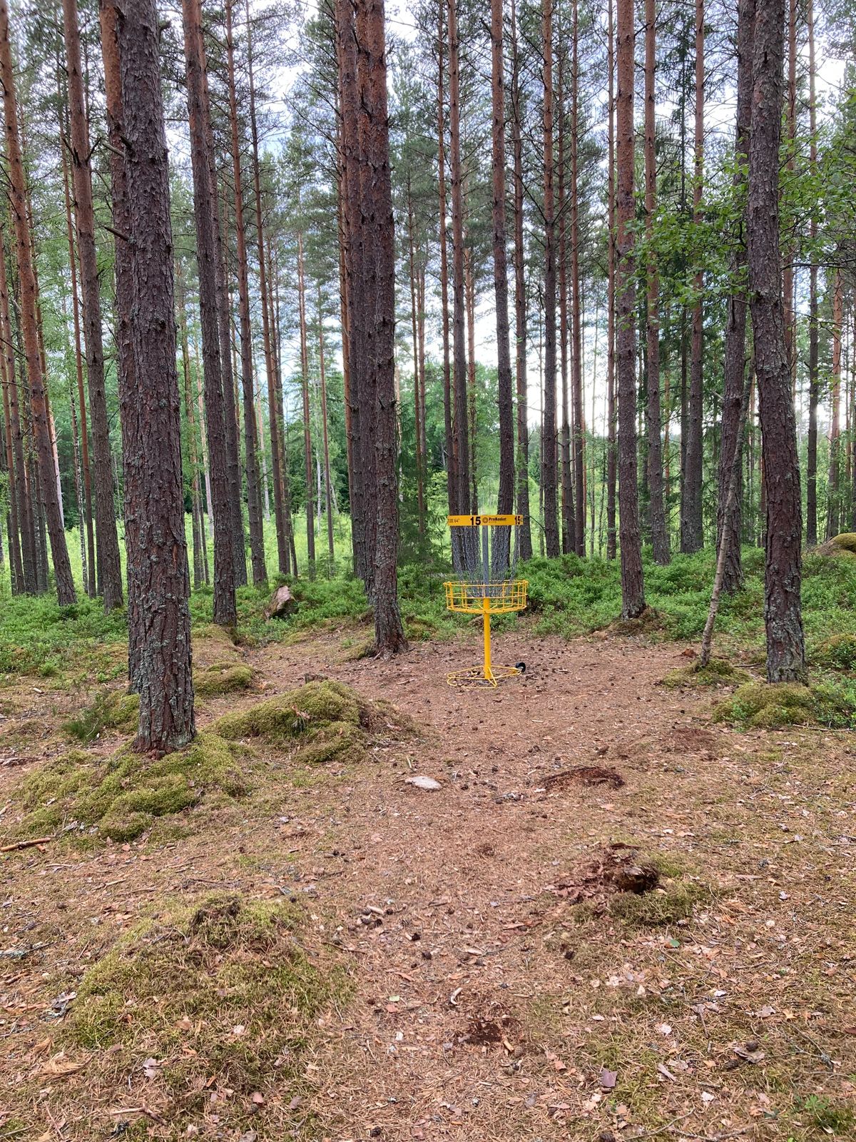 Green hål 15
