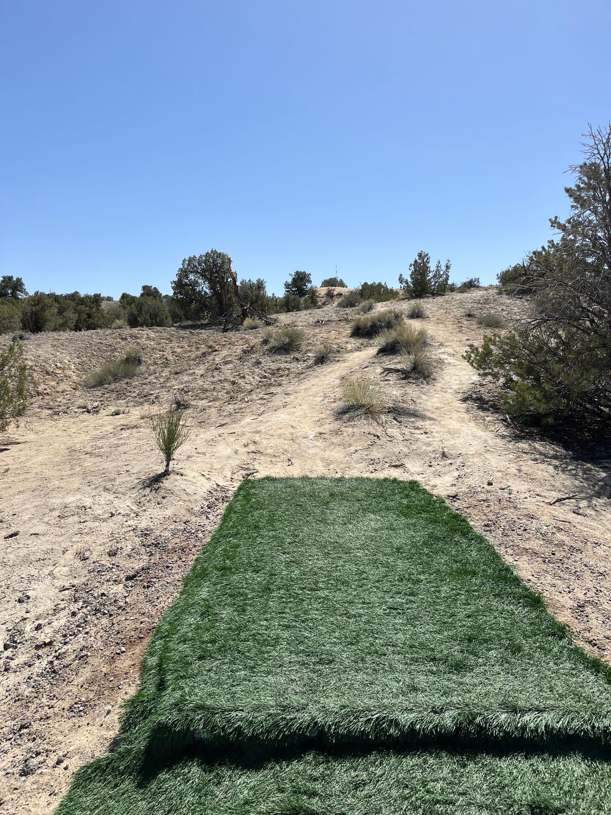 Hole 15