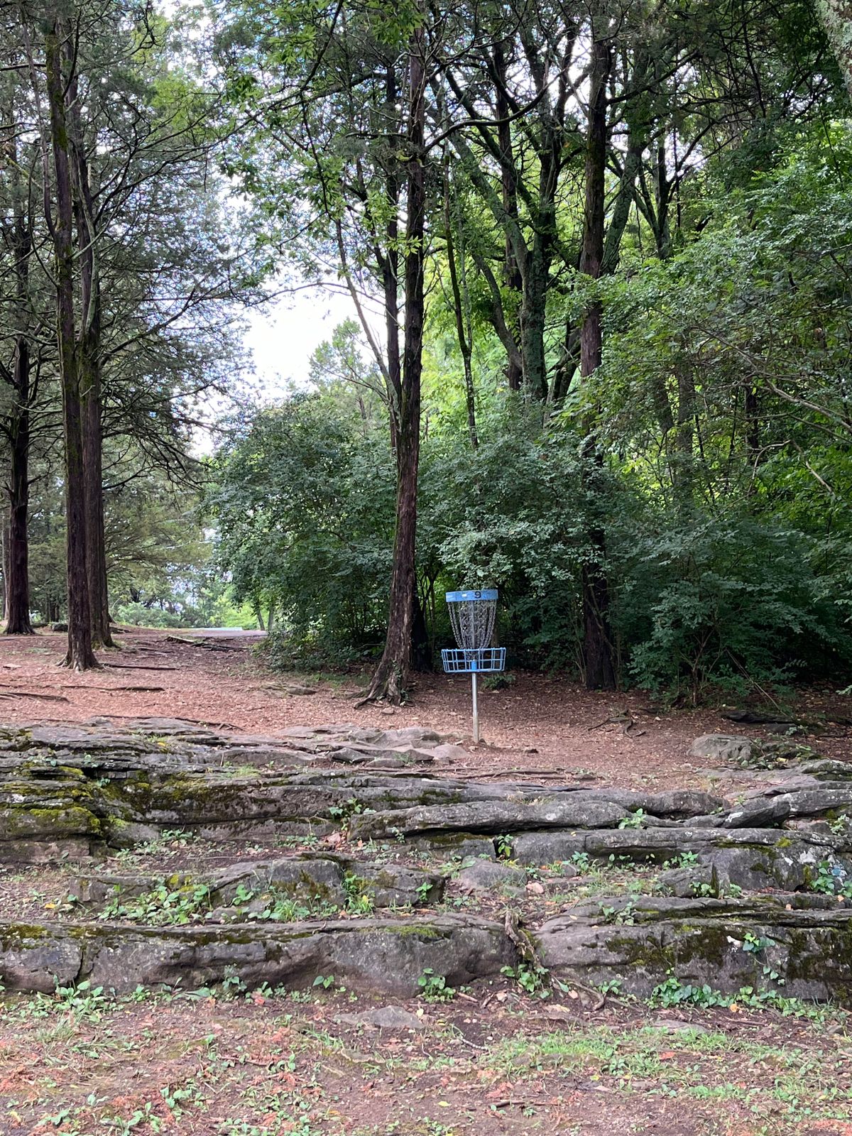 Hole nine