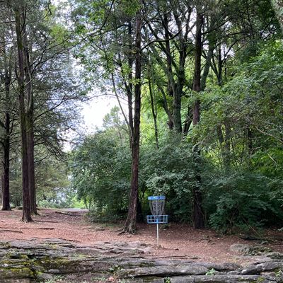 Hole nine