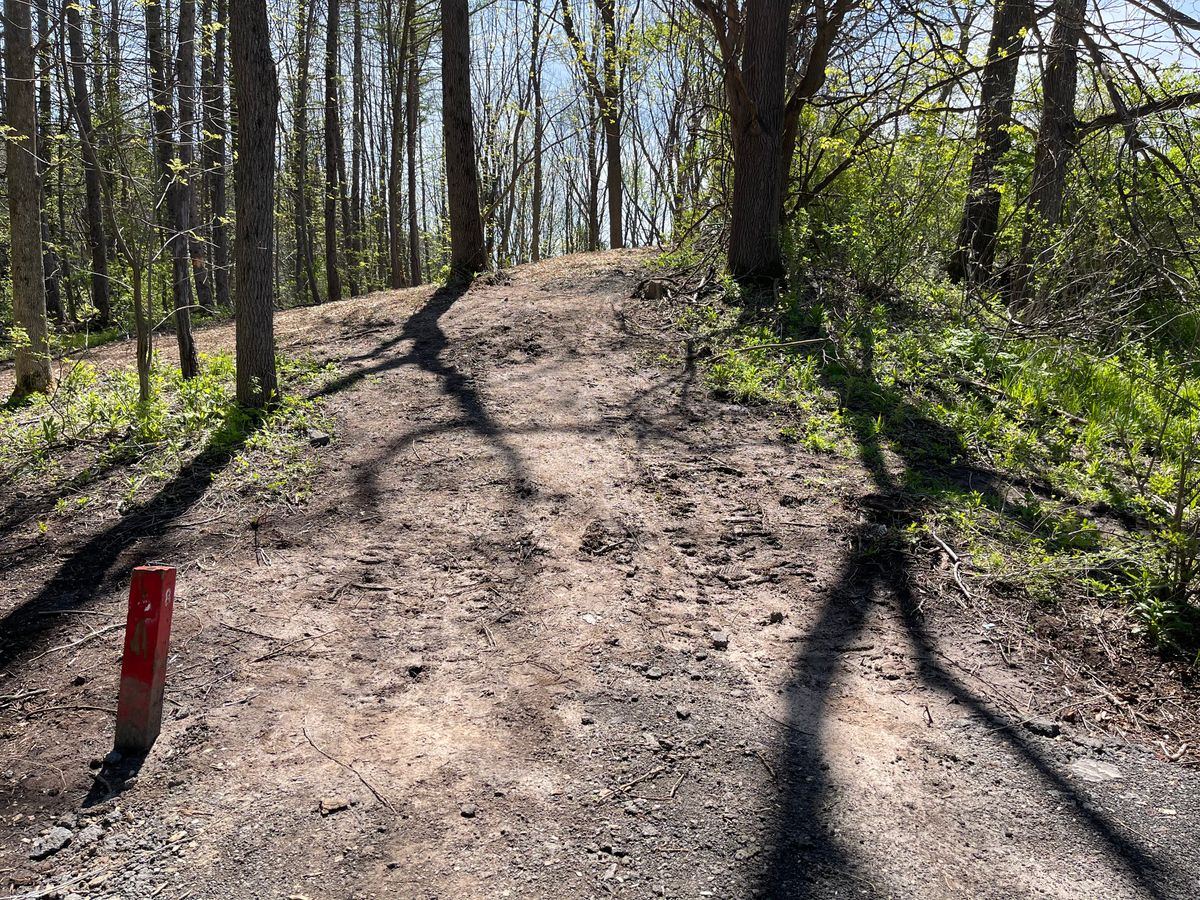 Hole 8 Short Tee