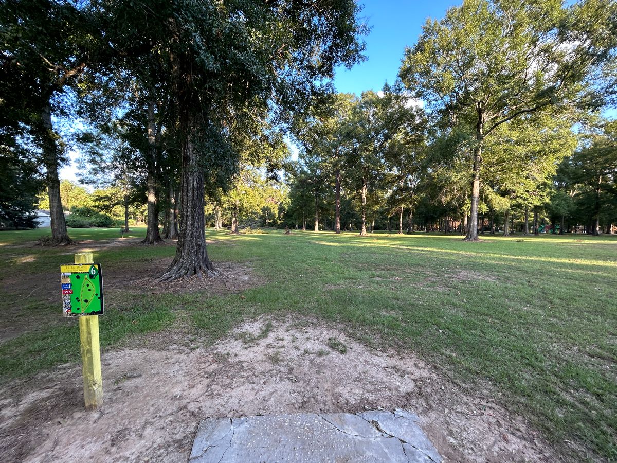 Hole 6 Fairway