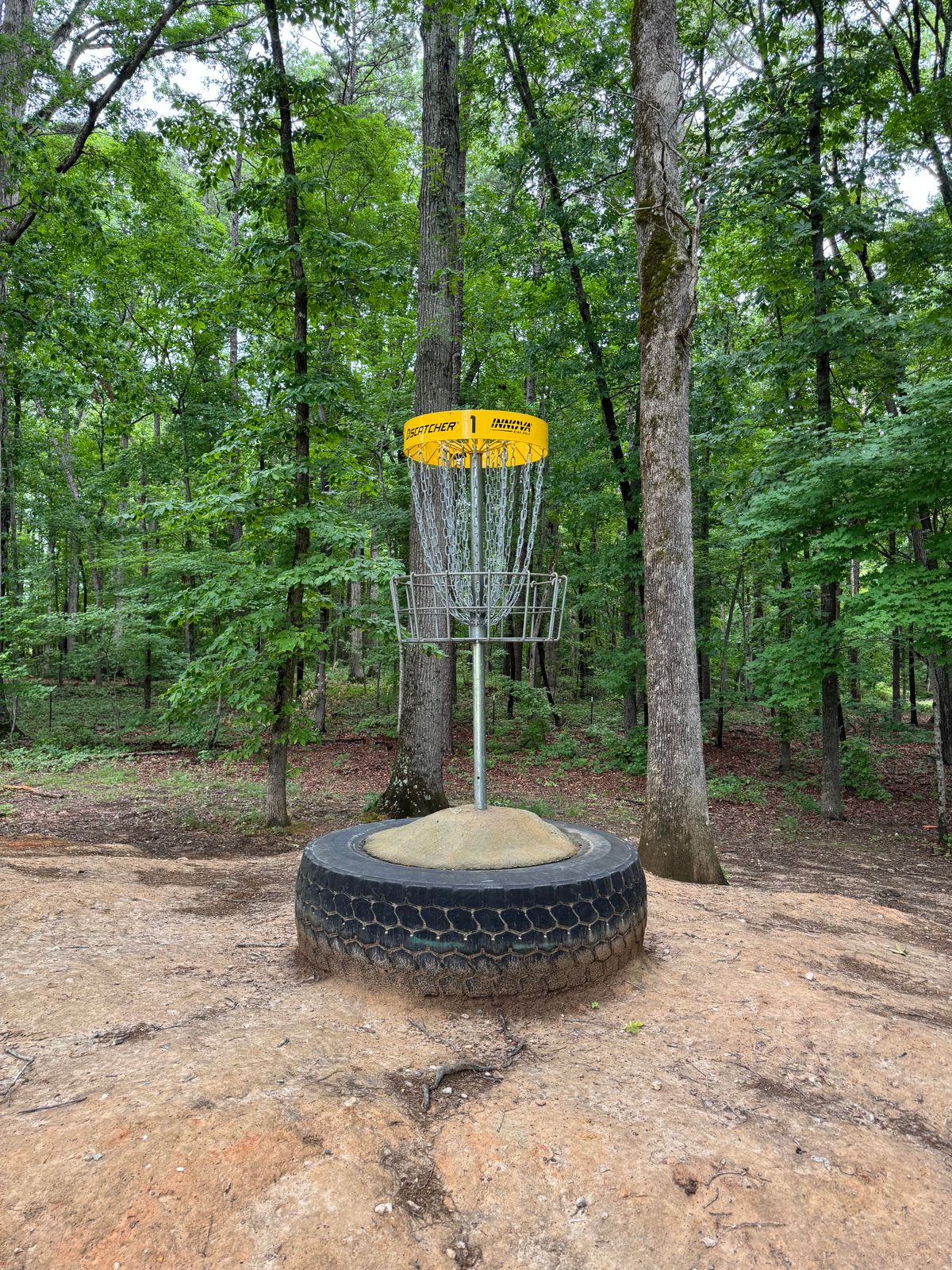 Hole 1 green