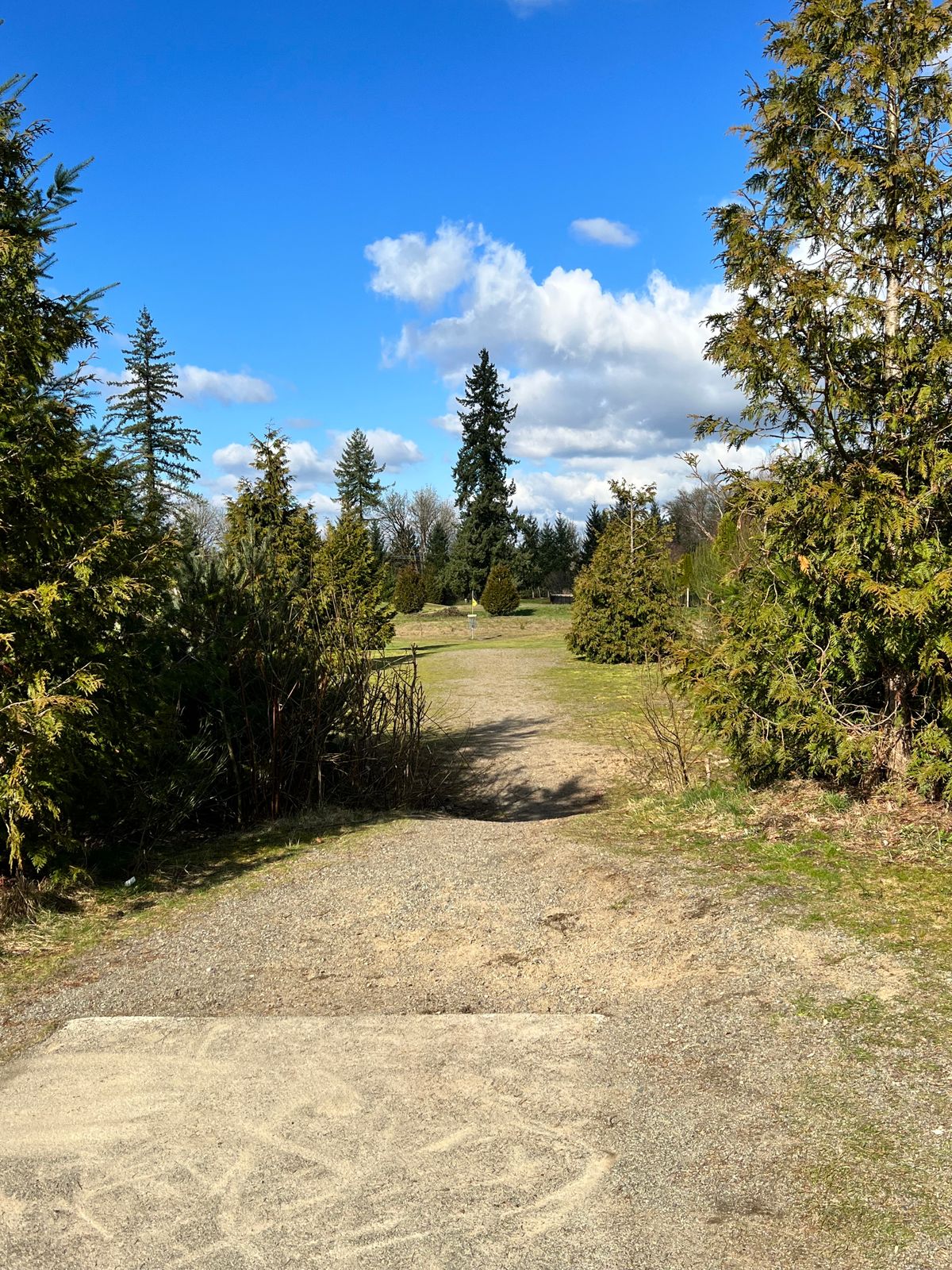 Hole 4 Red Tee