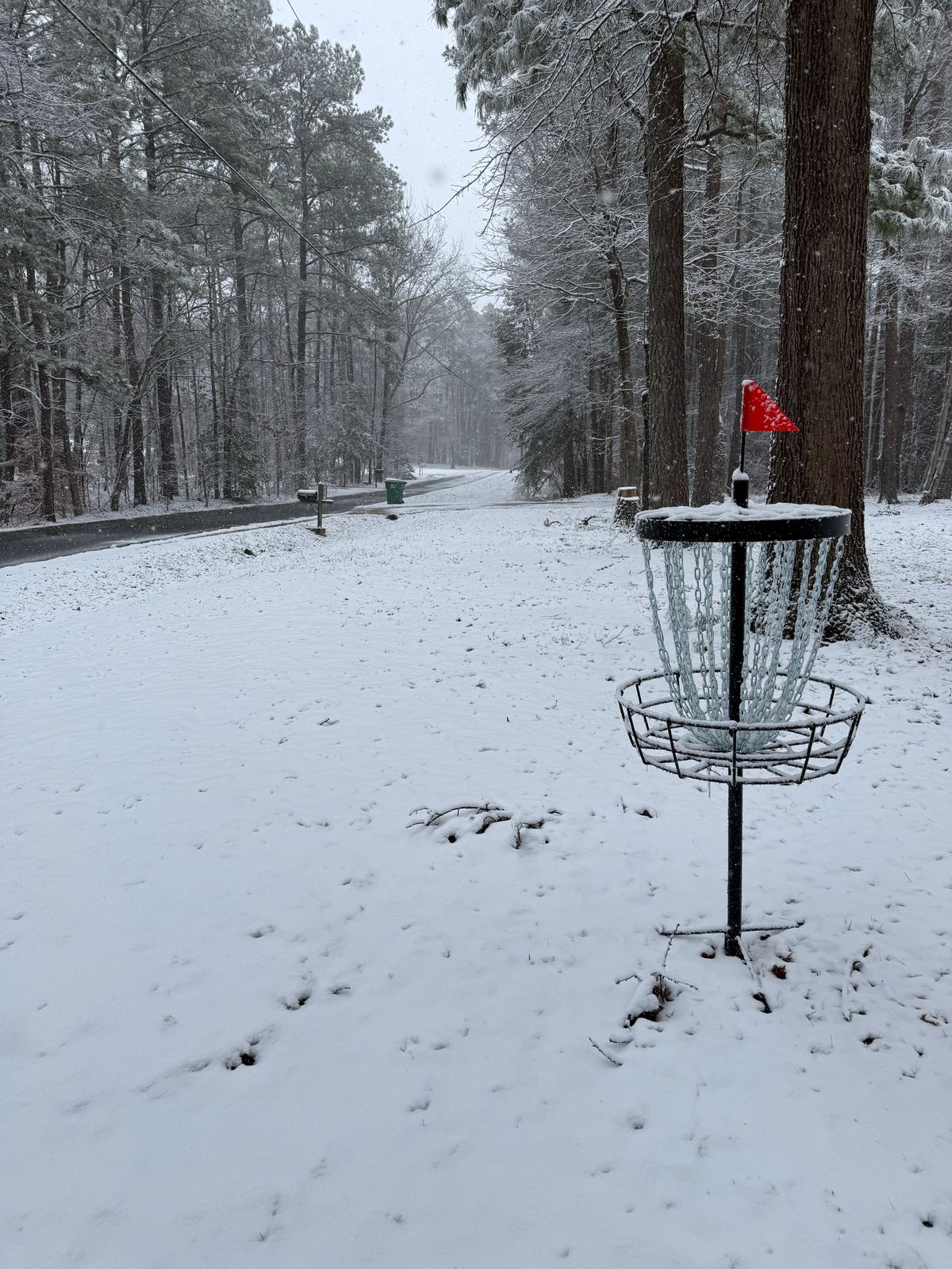 Hole 7 (2026 layout)