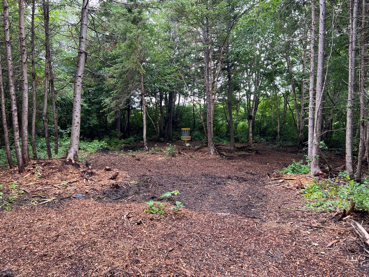 Hole 2 Basket
