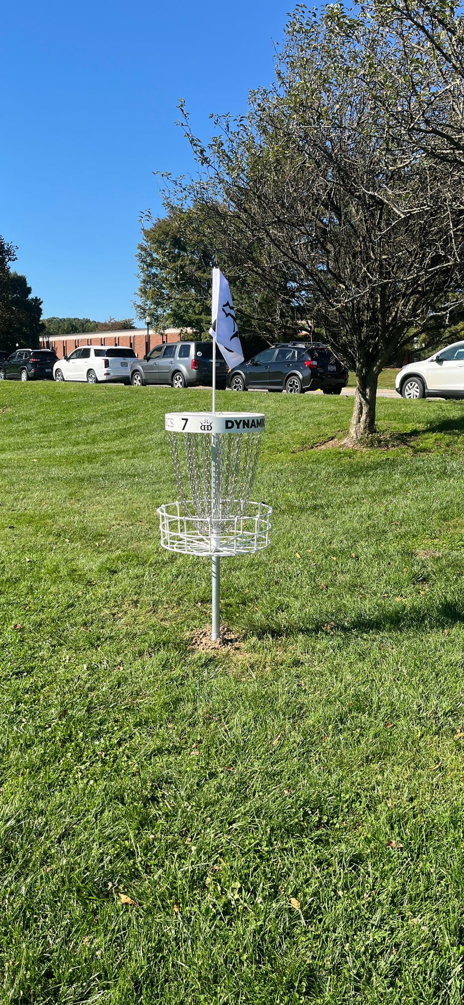 Hole 7 basket