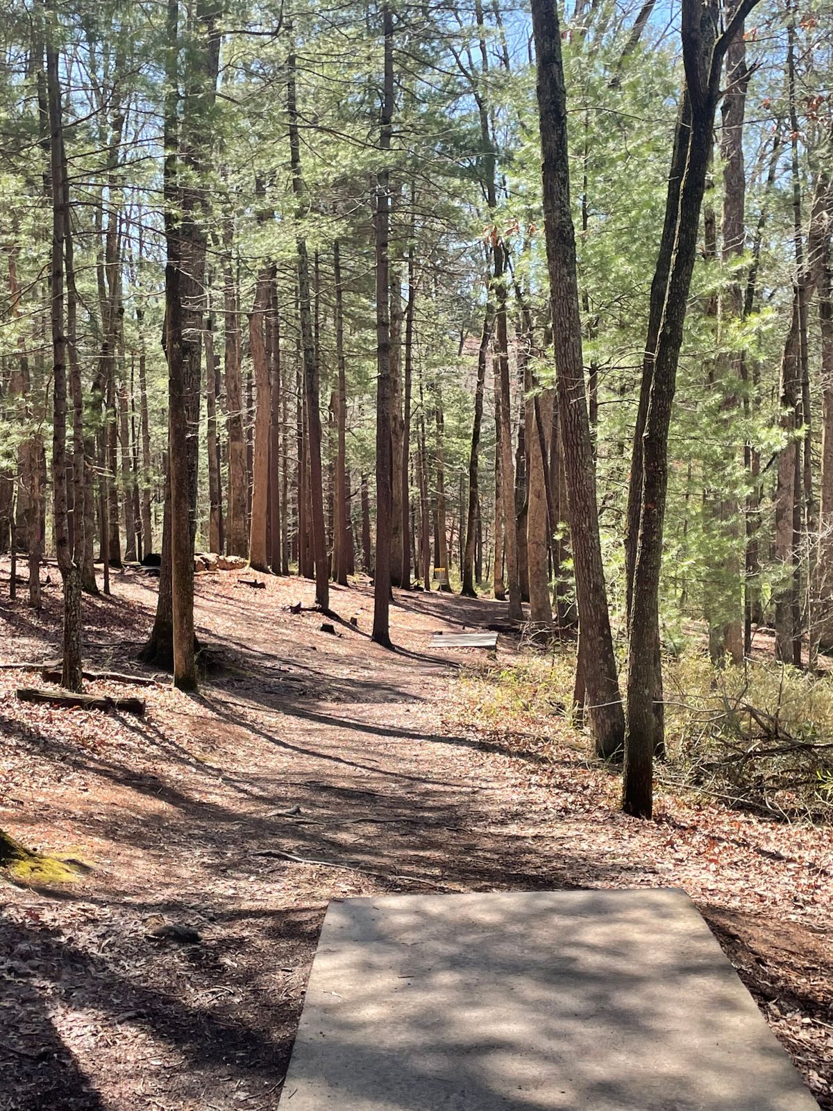 Hole 13. Beautiful.