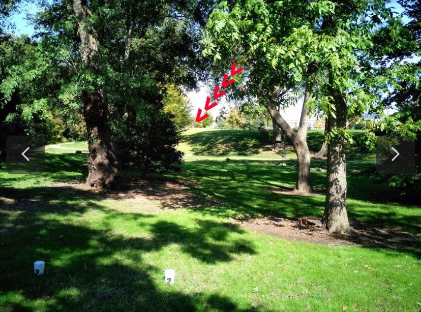 #2 tee to basket